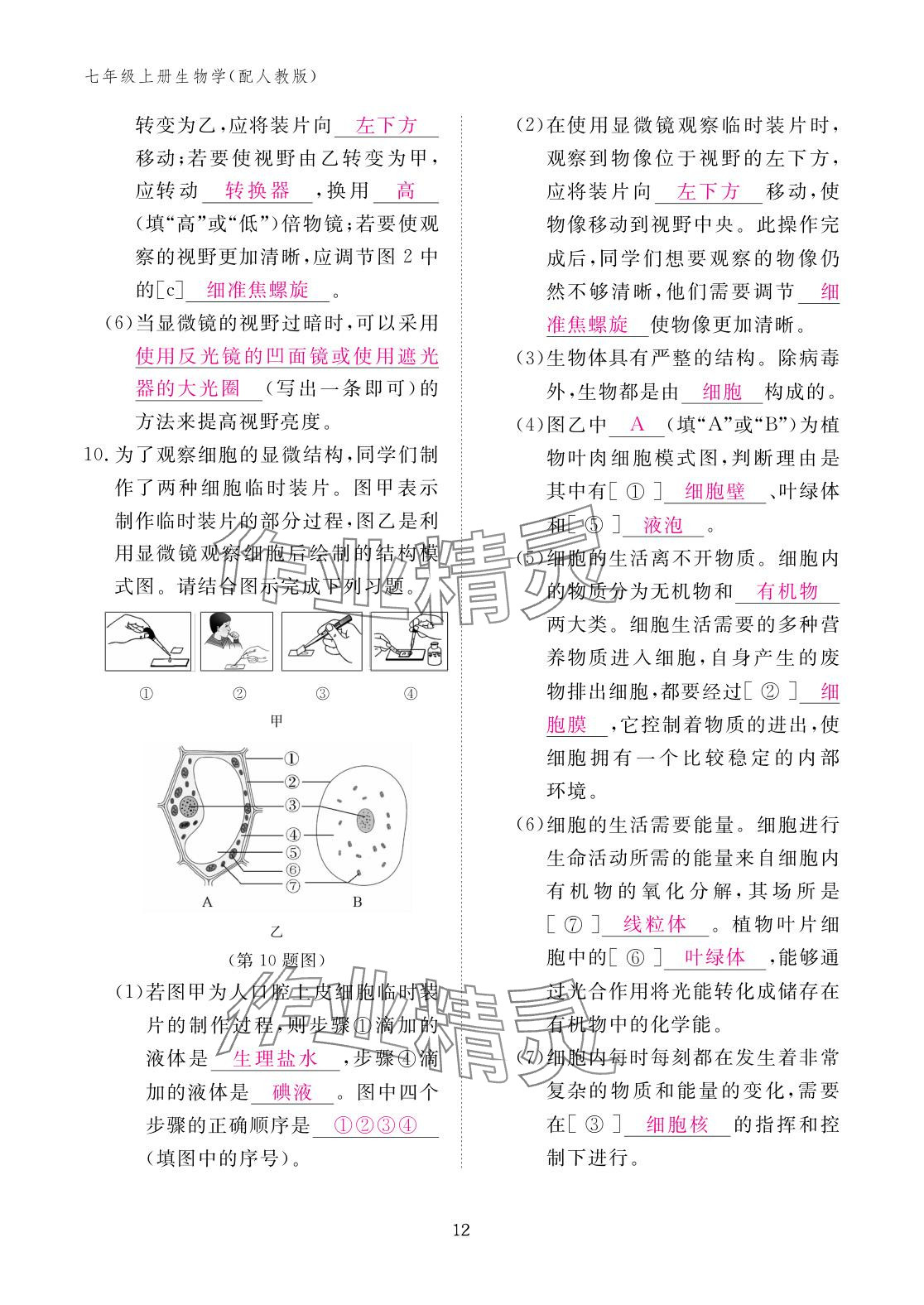 2025年作业本江西教育出版社七年级生物上册人教版 参考答案第12页