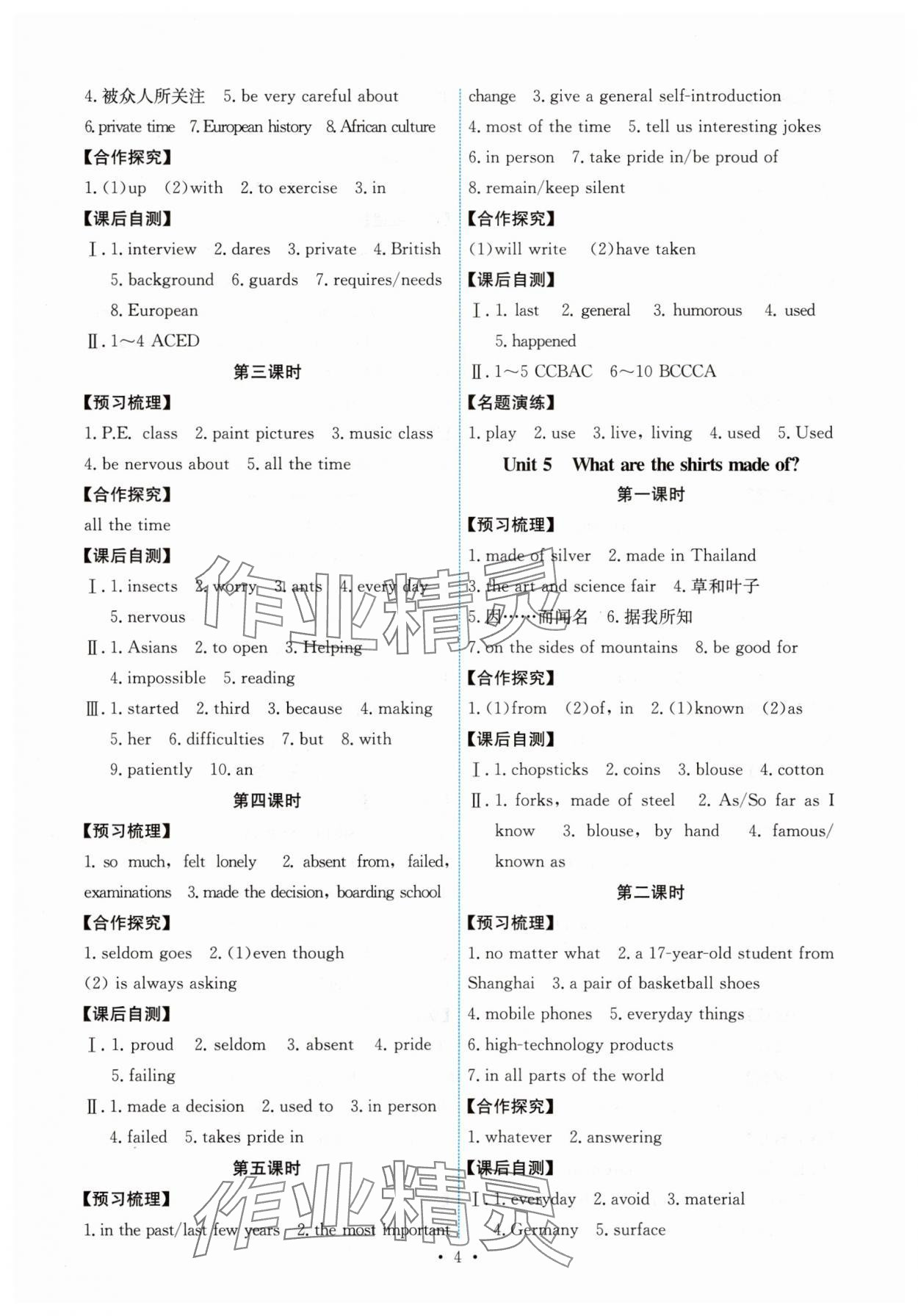 2025年能力培養與測試九年級英語全一冊人教版湖南專版 第4頁