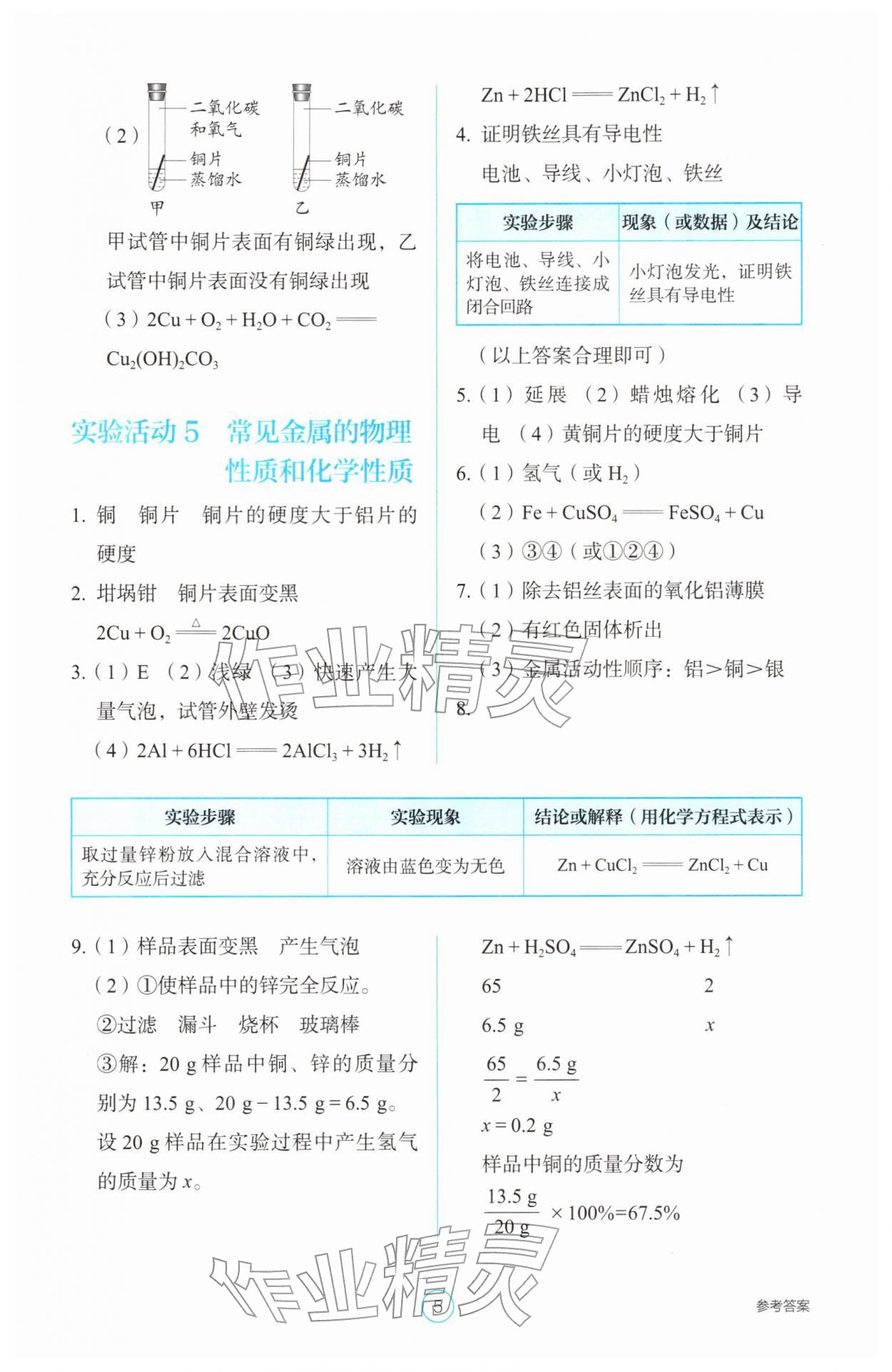 2026年学生基础性作业九年级化学下册人教版&nbsp;第5页