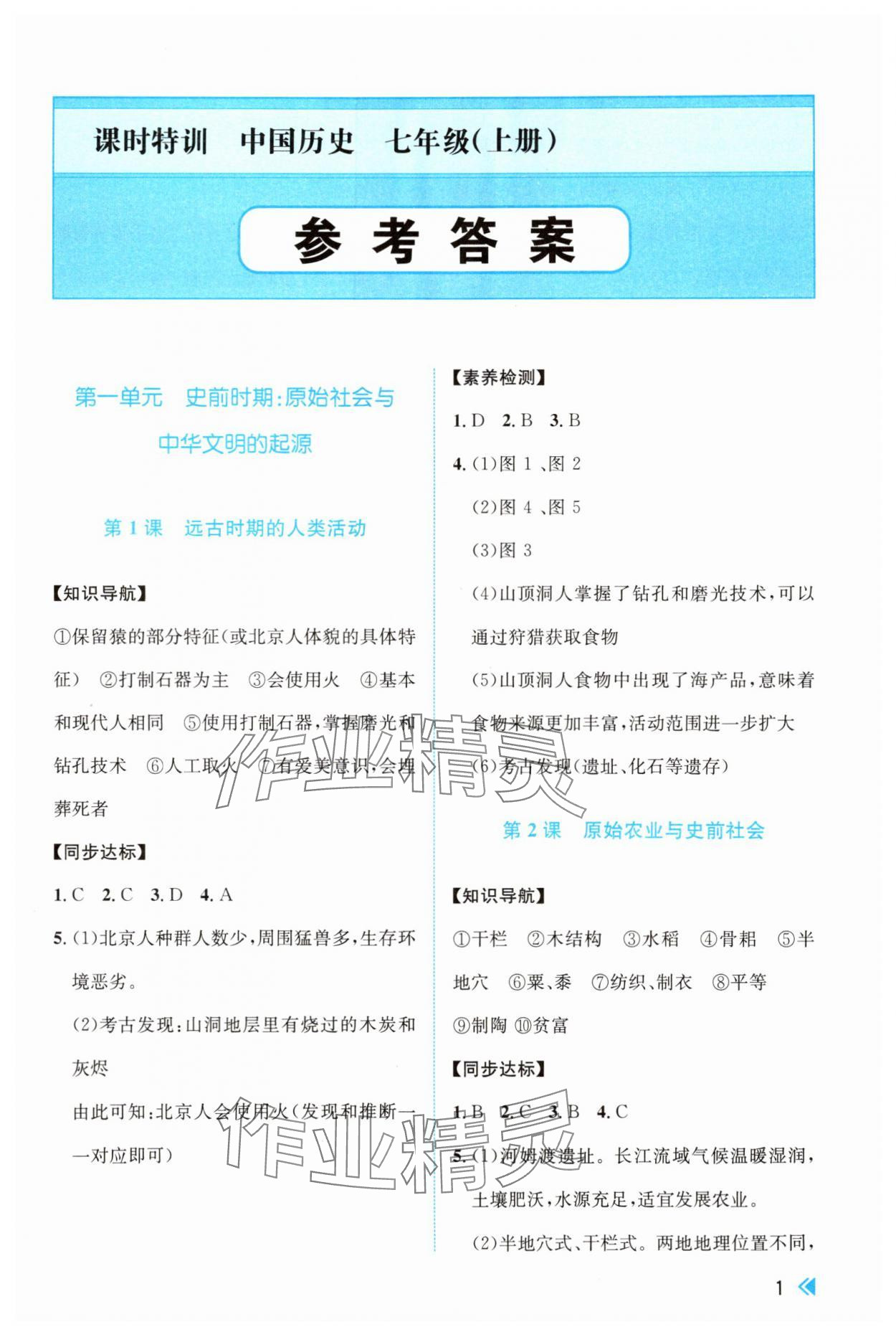 2025年课时特训七年级历史上册人教版 第1页