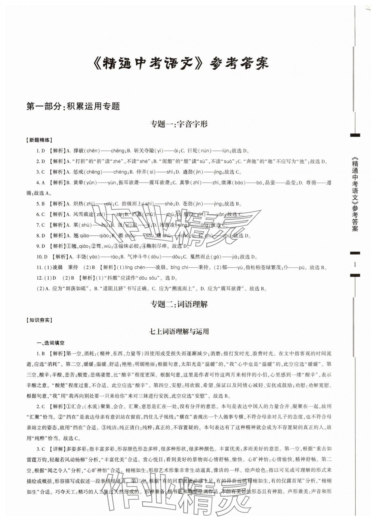 2025年精通中考語文基礎知識與試卷訓練 參考答案第1頁