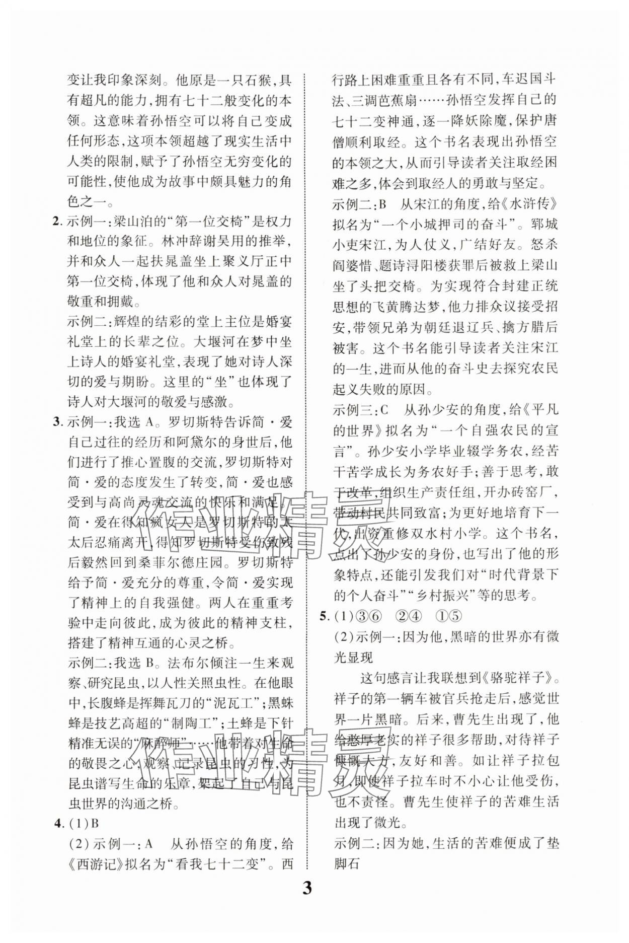 2024年浙江中考優化指導語文 第3頁