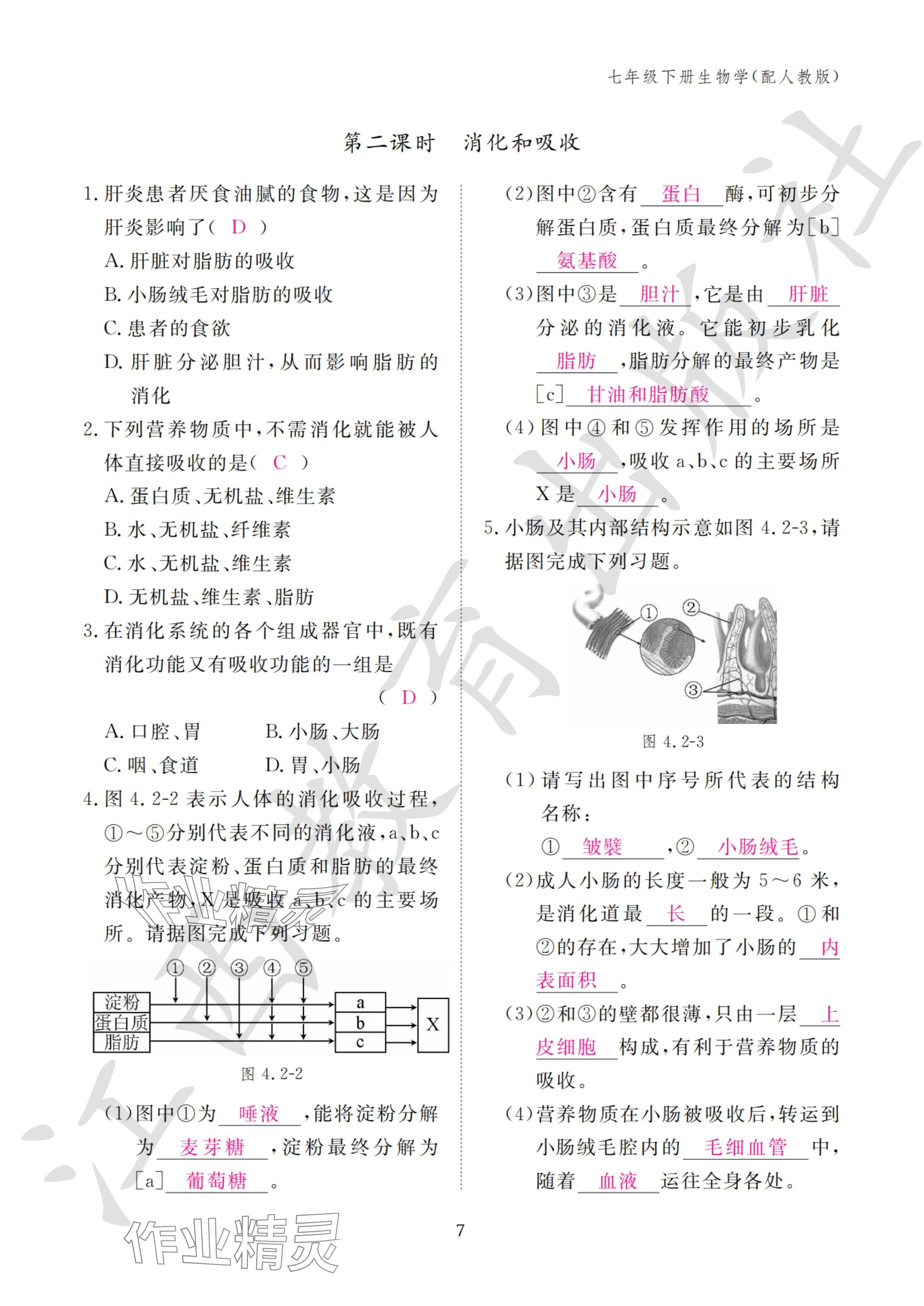 2024年作業(yè)本江西教育出版社七年級(jí)生物下冊(cè)人教版 參考答案第7頁(yè)