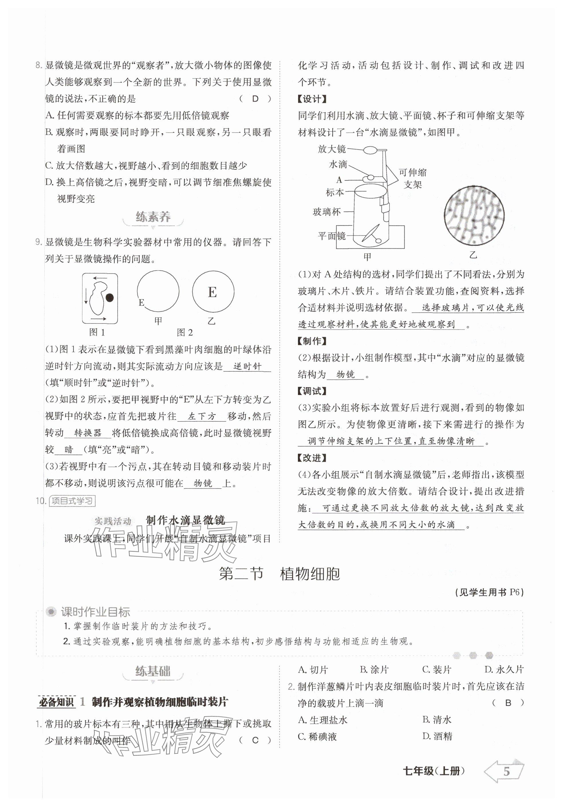 2024年金牌學(xué)練測七年級生物上冊人教版 參考答案第5頁