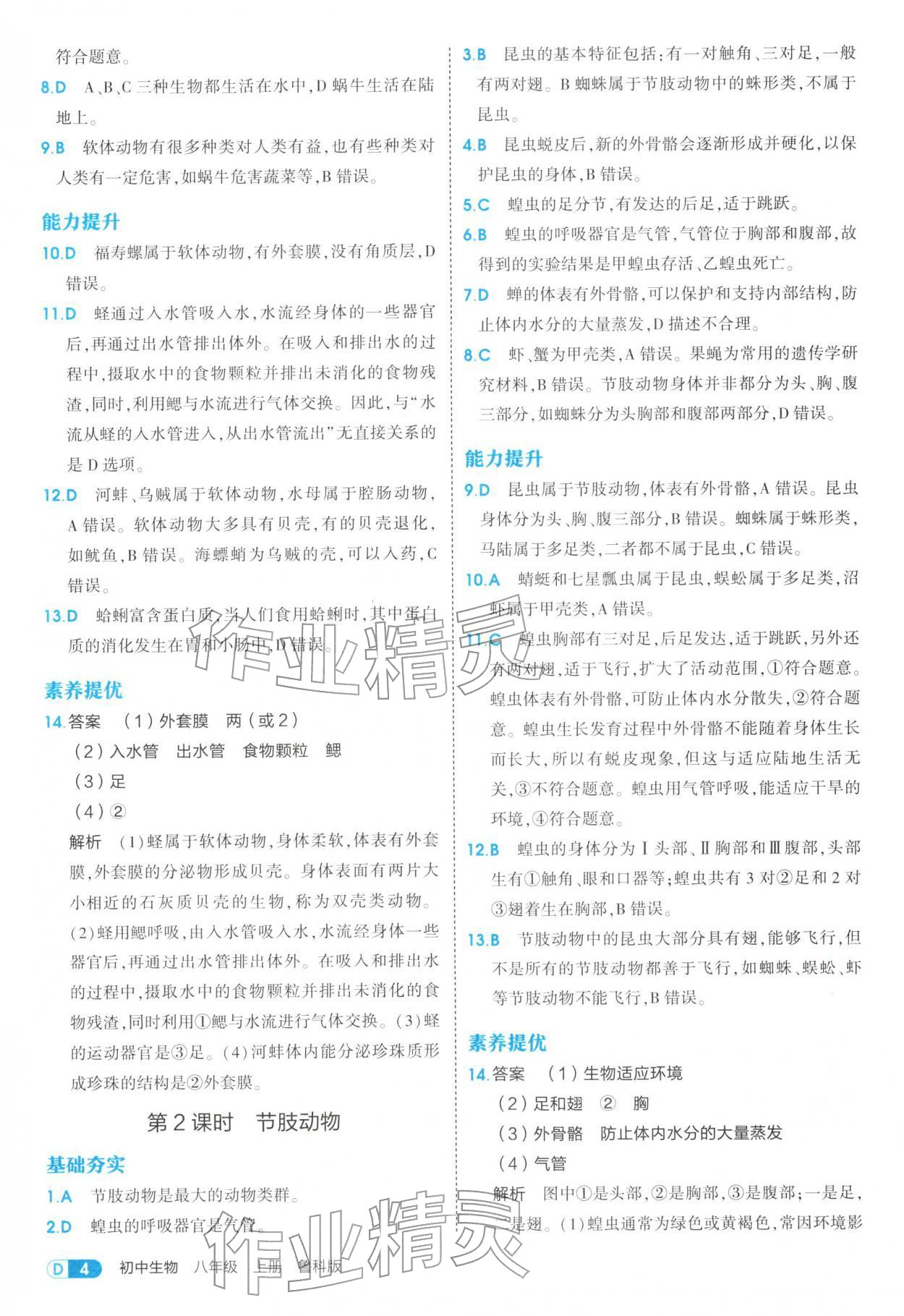 2025年5年中考3年模拟八年级生物上册鲁科版 参考答案第4页