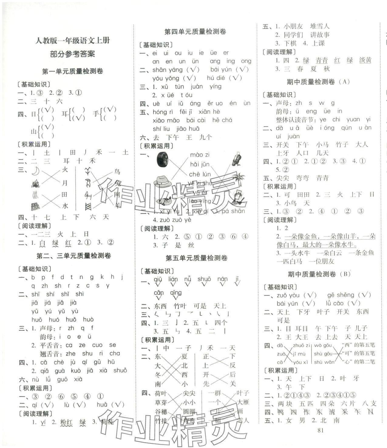 2025年云南师大附小一线名师核心试卷一年级语文上册人教版 第1页