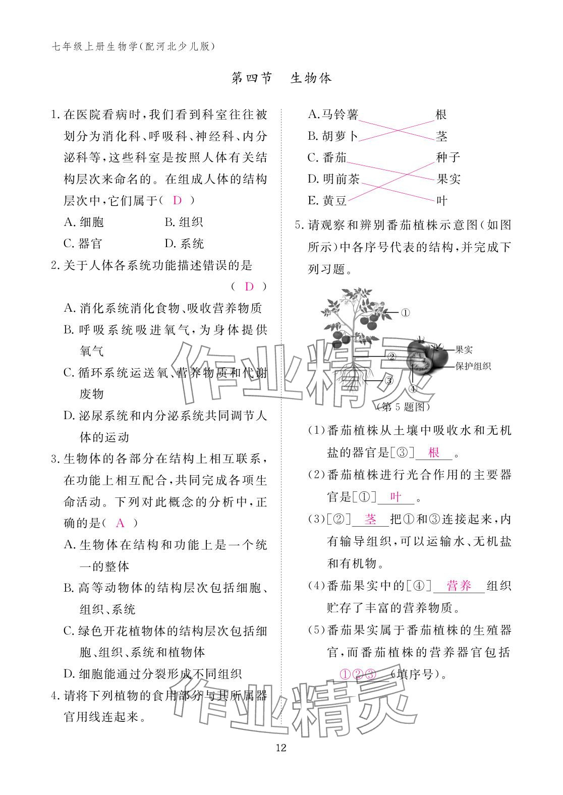 2025年作业本江西教育出版社七年级生物上册冀少版 参考答案第12页