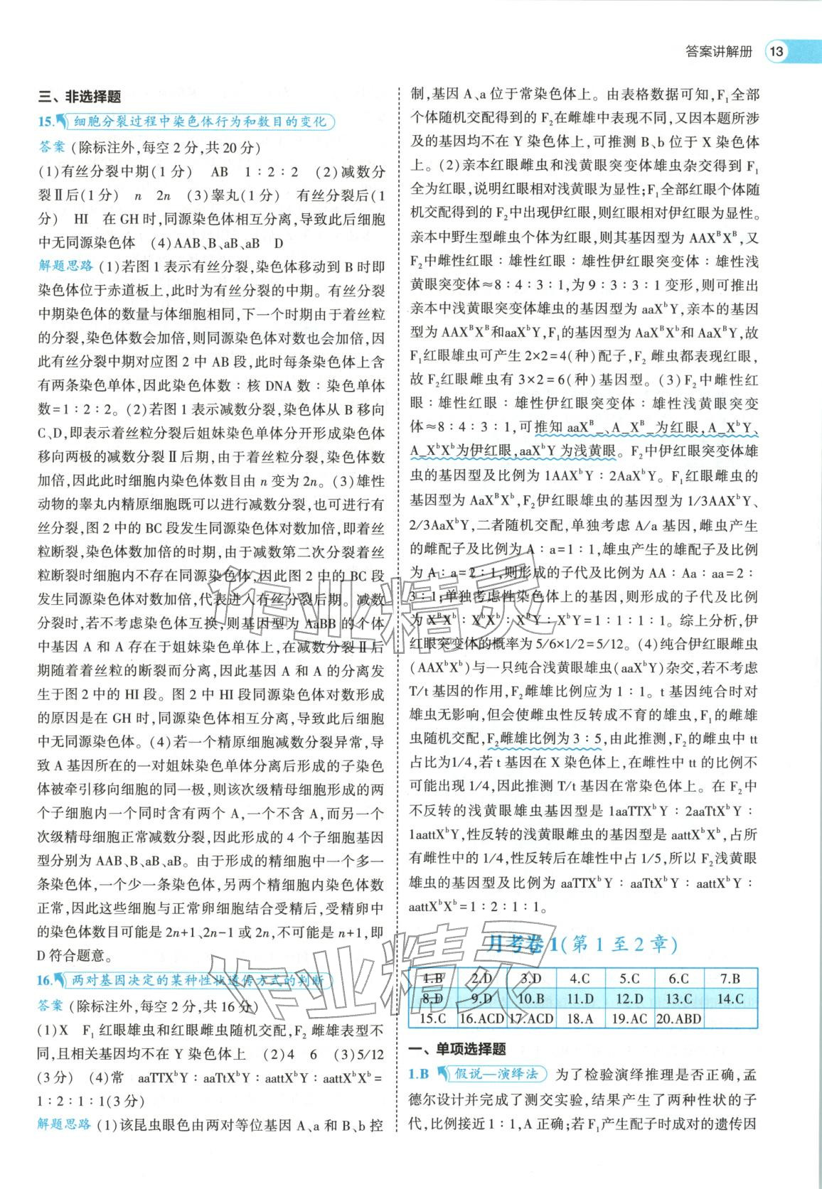 2026年53高中全优卷高中生物必修第二册人教版&nbsp;第13页