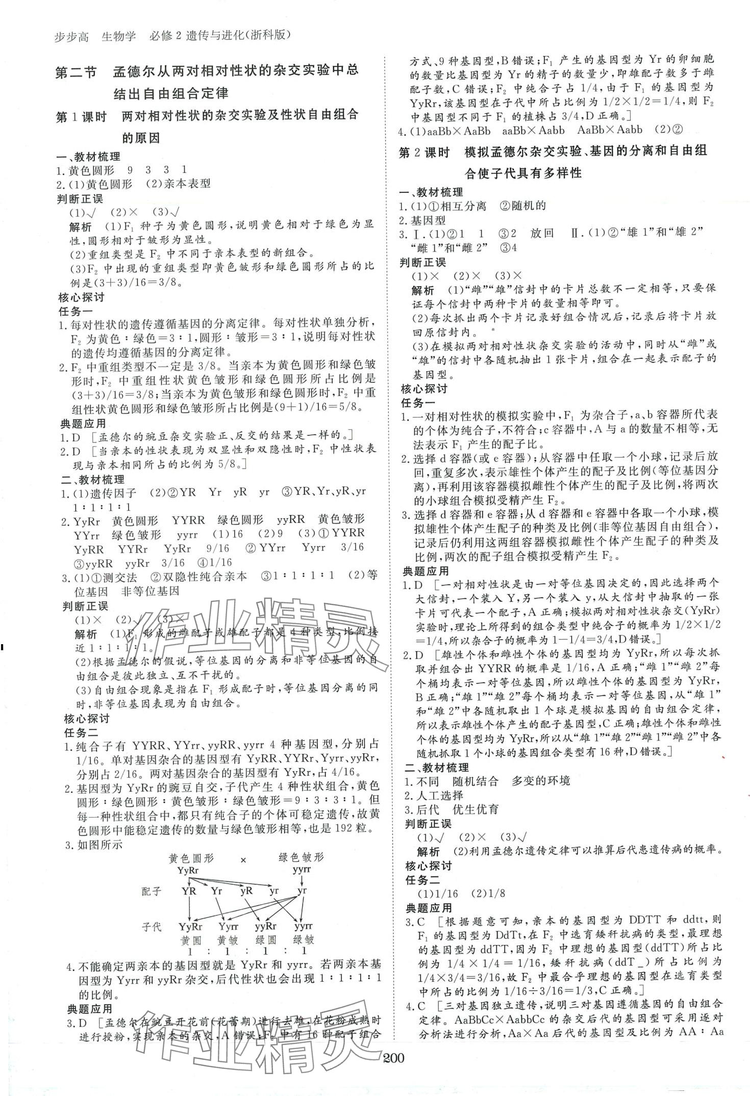 2024年步步高學習筆記高中生物必修2浙科版 第3頁