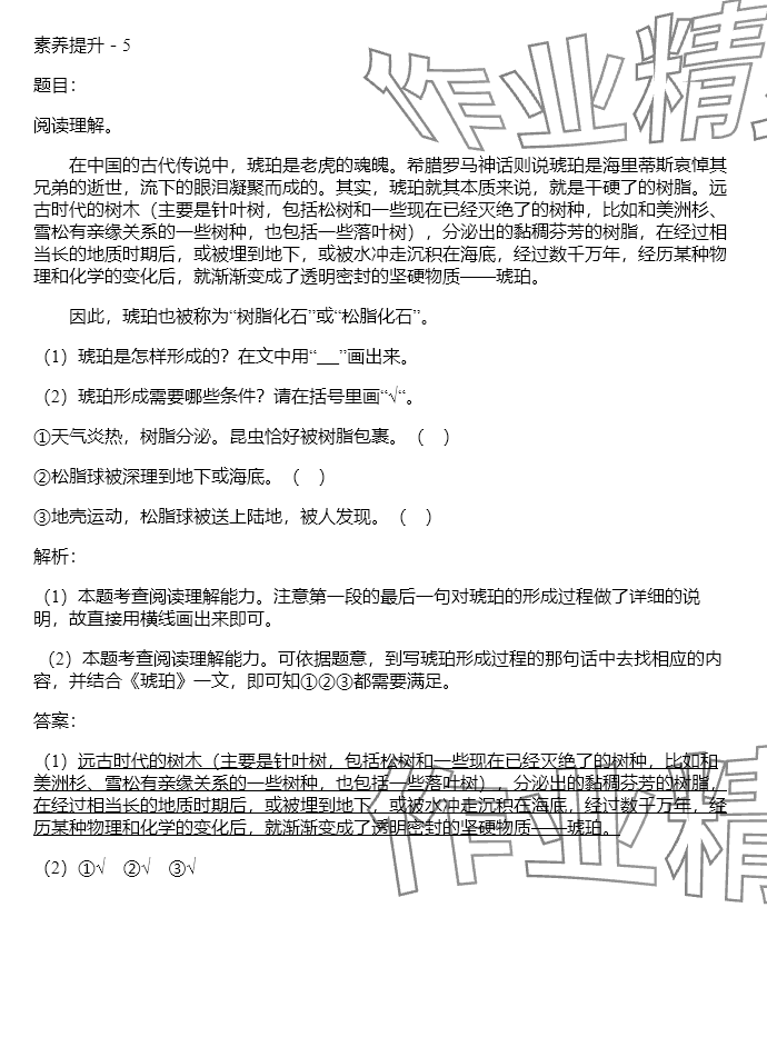 2024年同步實踐評價課程基礎訓練四年級語文下冊人教版 參考答案第34頁