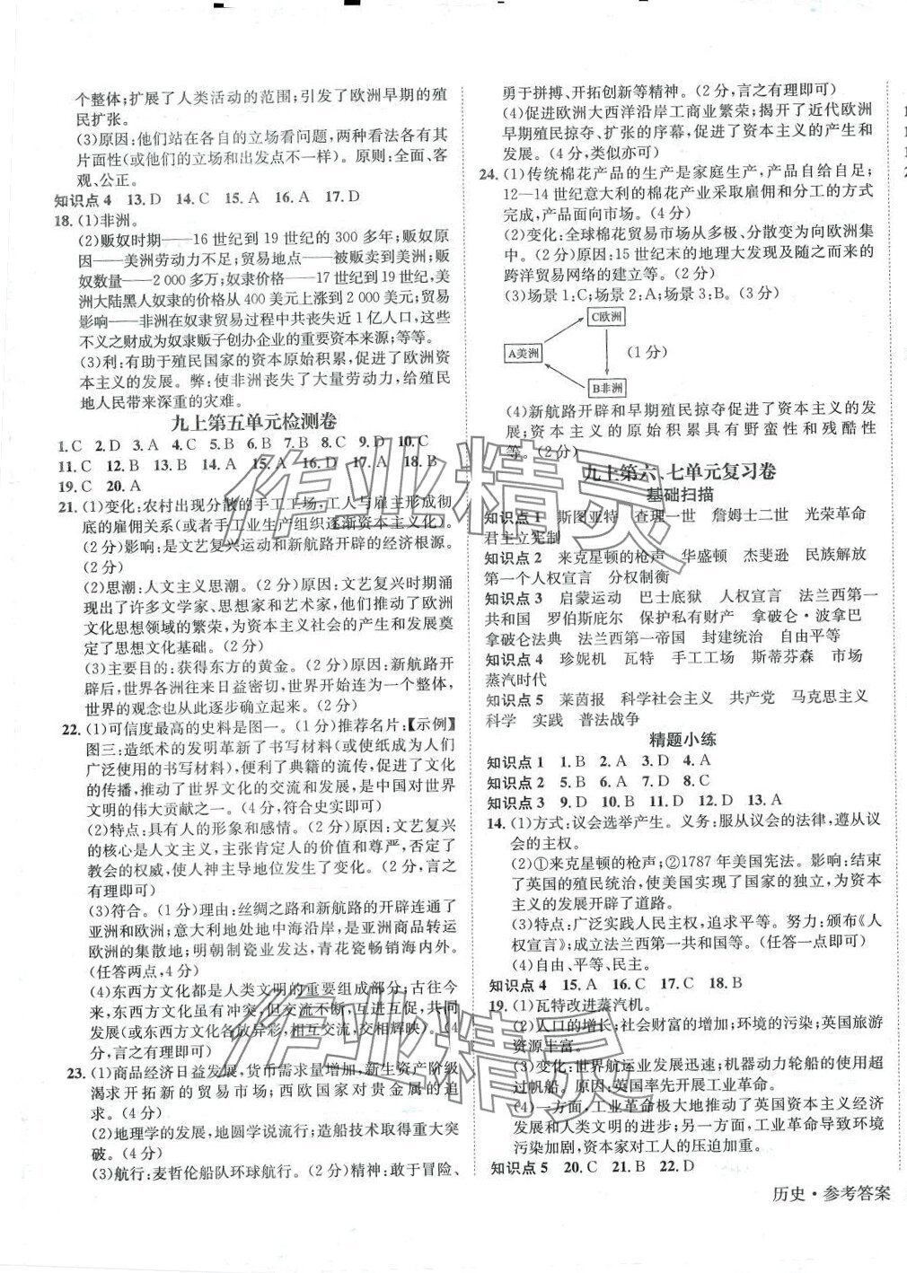 2024年标准卷长江出版社九年级历史全一册人教版 第3页