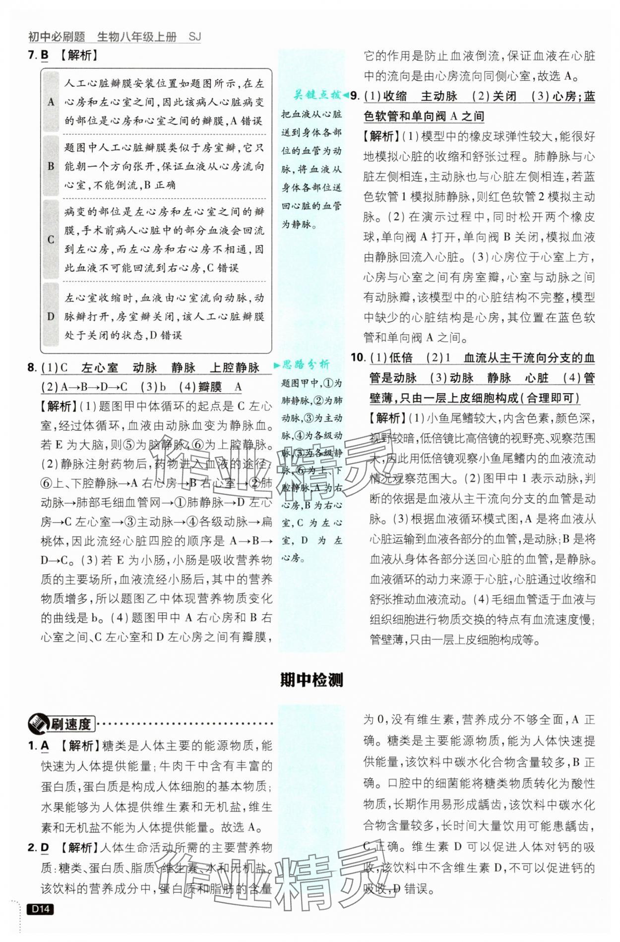 2025年初中必刷题八年级生物上册苏教版&nbsp;第14页
