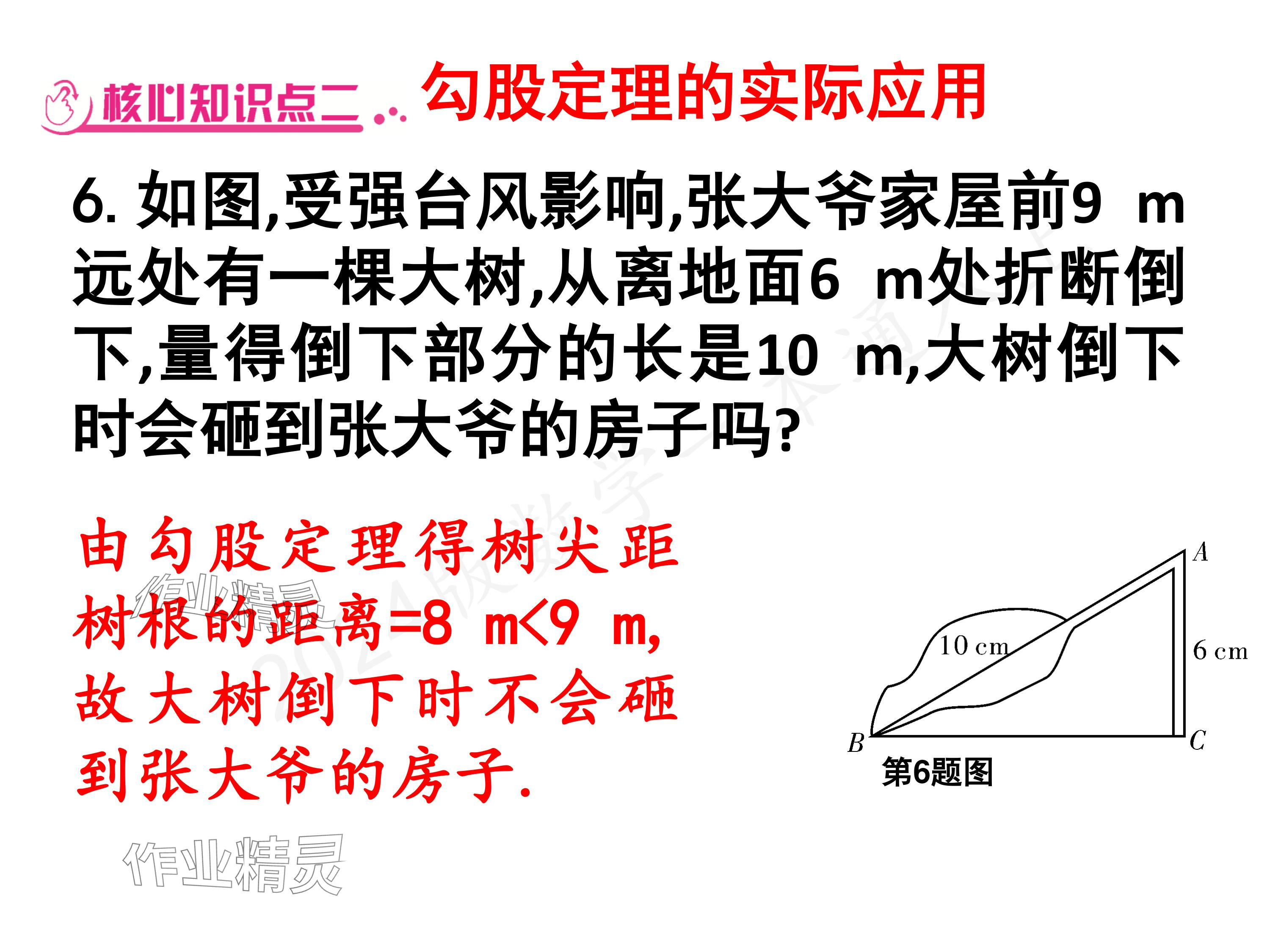 2024年一本通武漢出版社八年級數(shù)學上冊北師大版核心板 參考答案第5頁