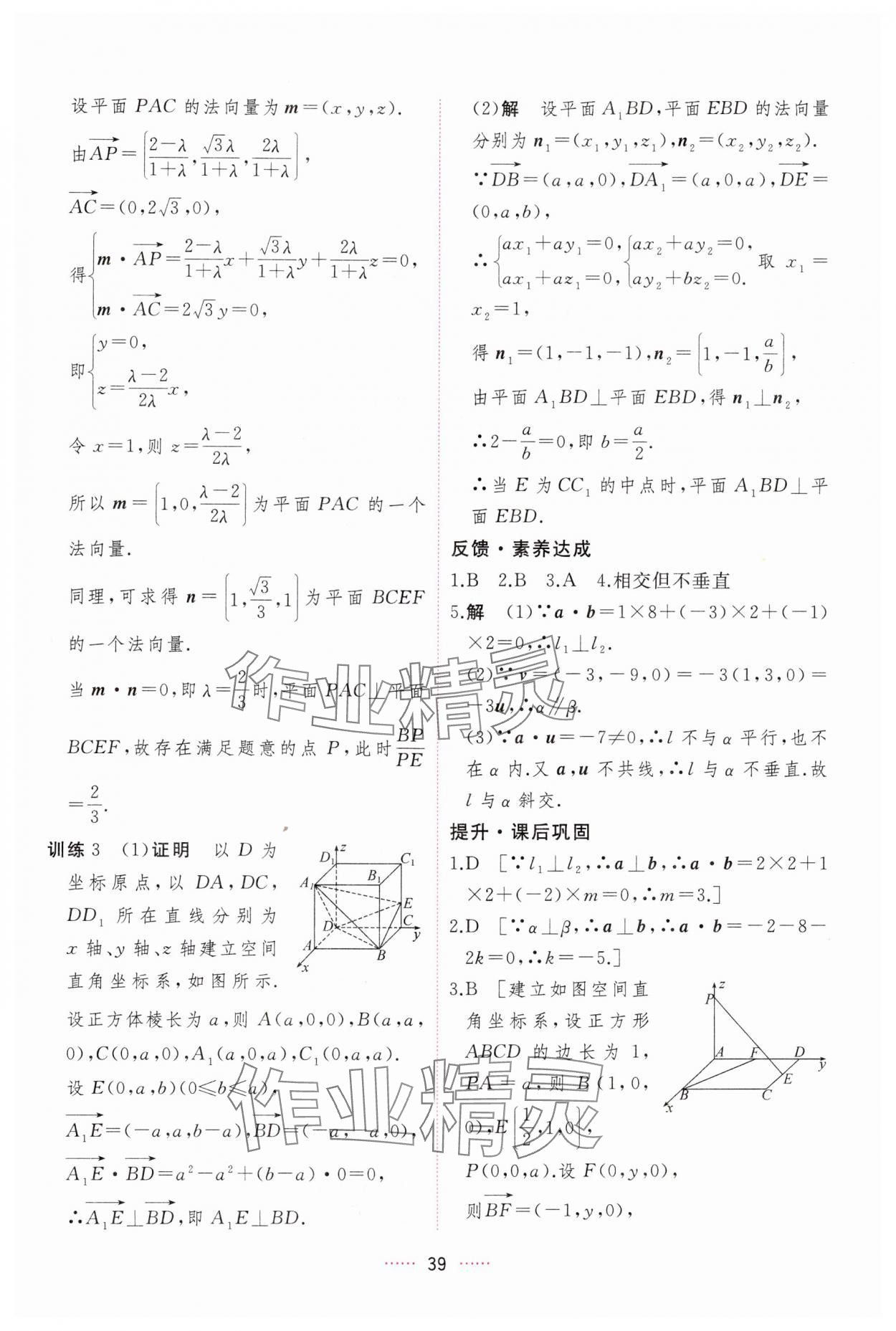 2024年三维随堂精练高中数学选择性必修第一册人教版 第39页