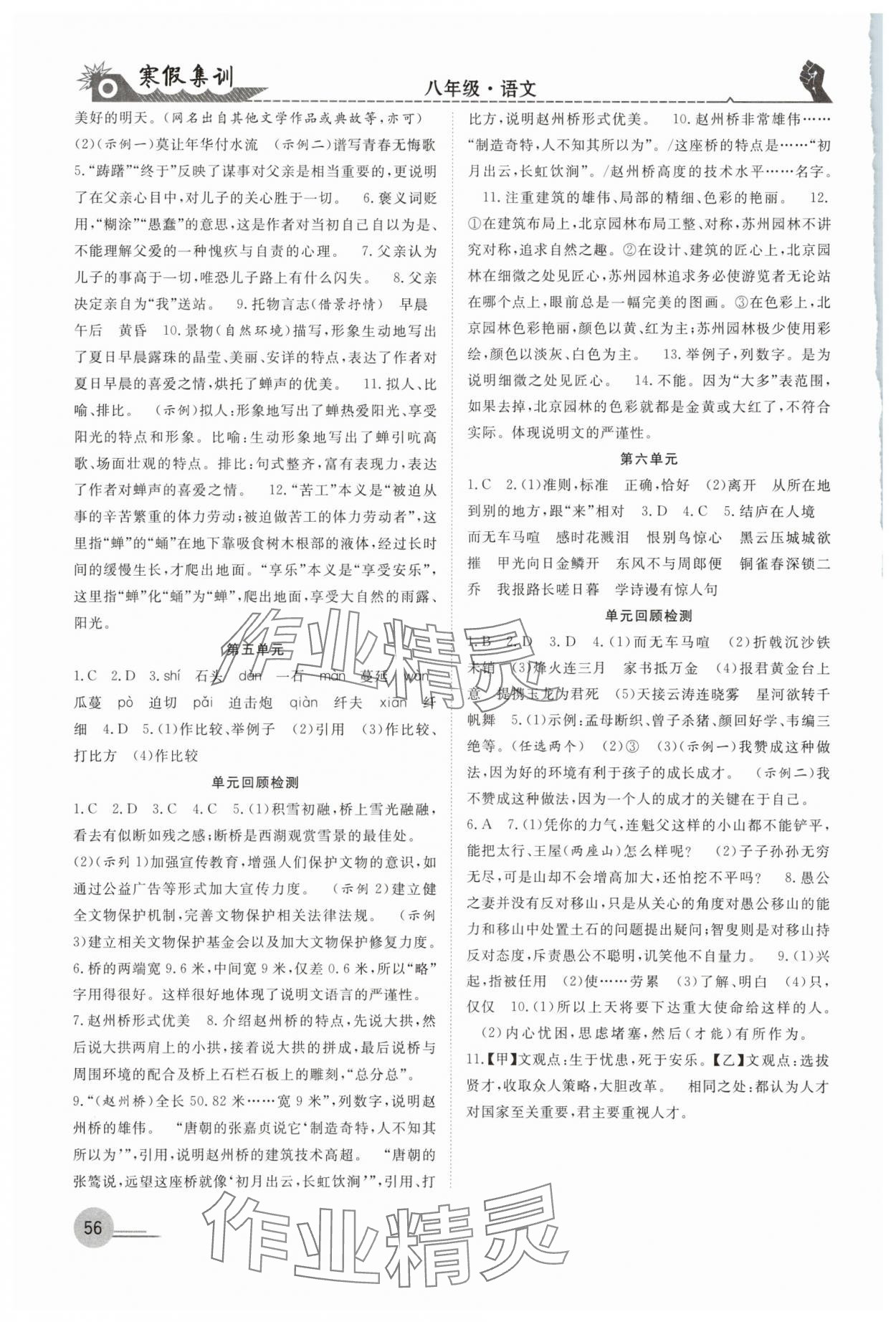 2025年寒假集訓(xùn)合肥工業(yè)大學(xué)出版社八年級語文人教版 第2頁