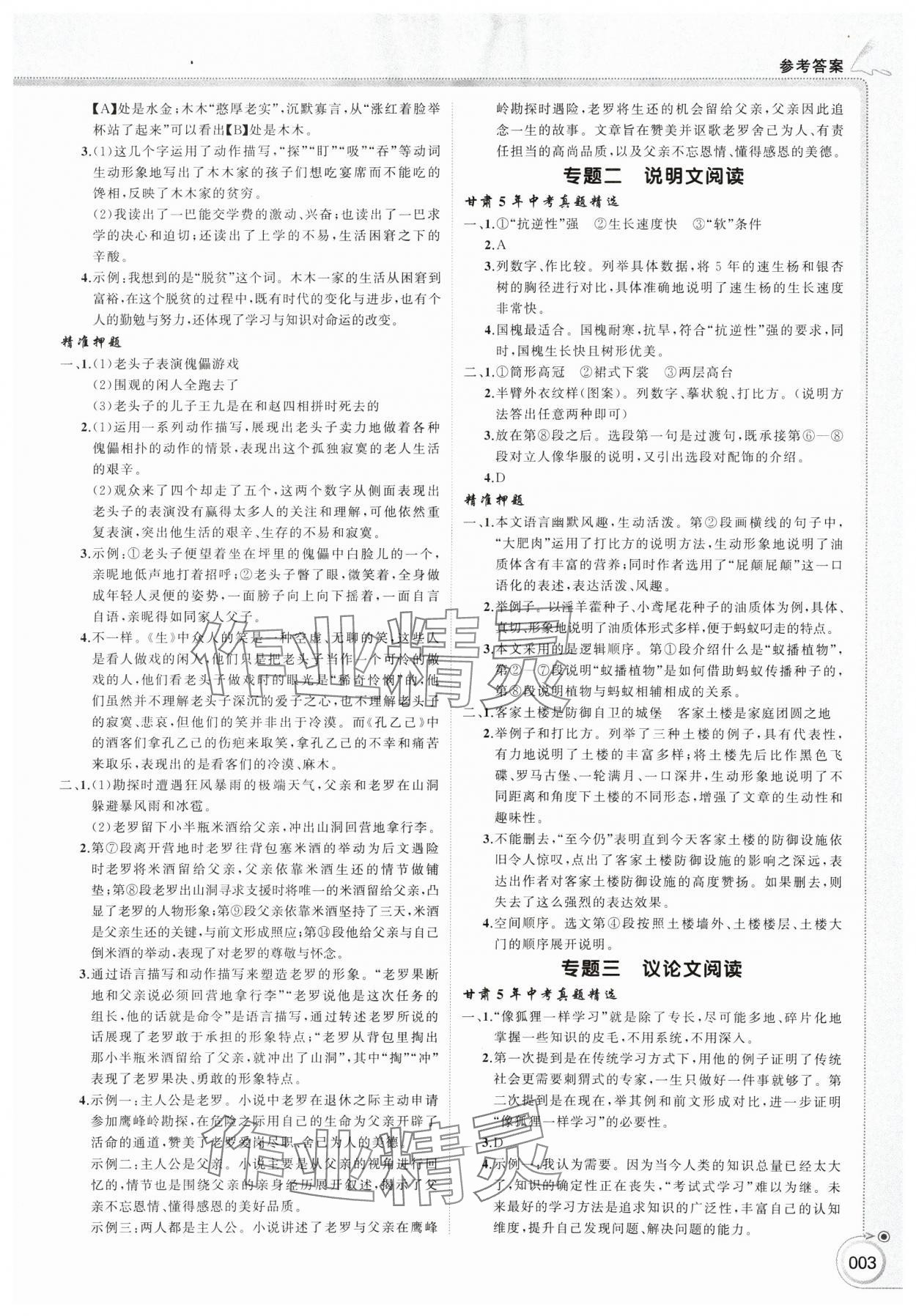 2025年首席中考语文甘肃专版&nbsp;第3页