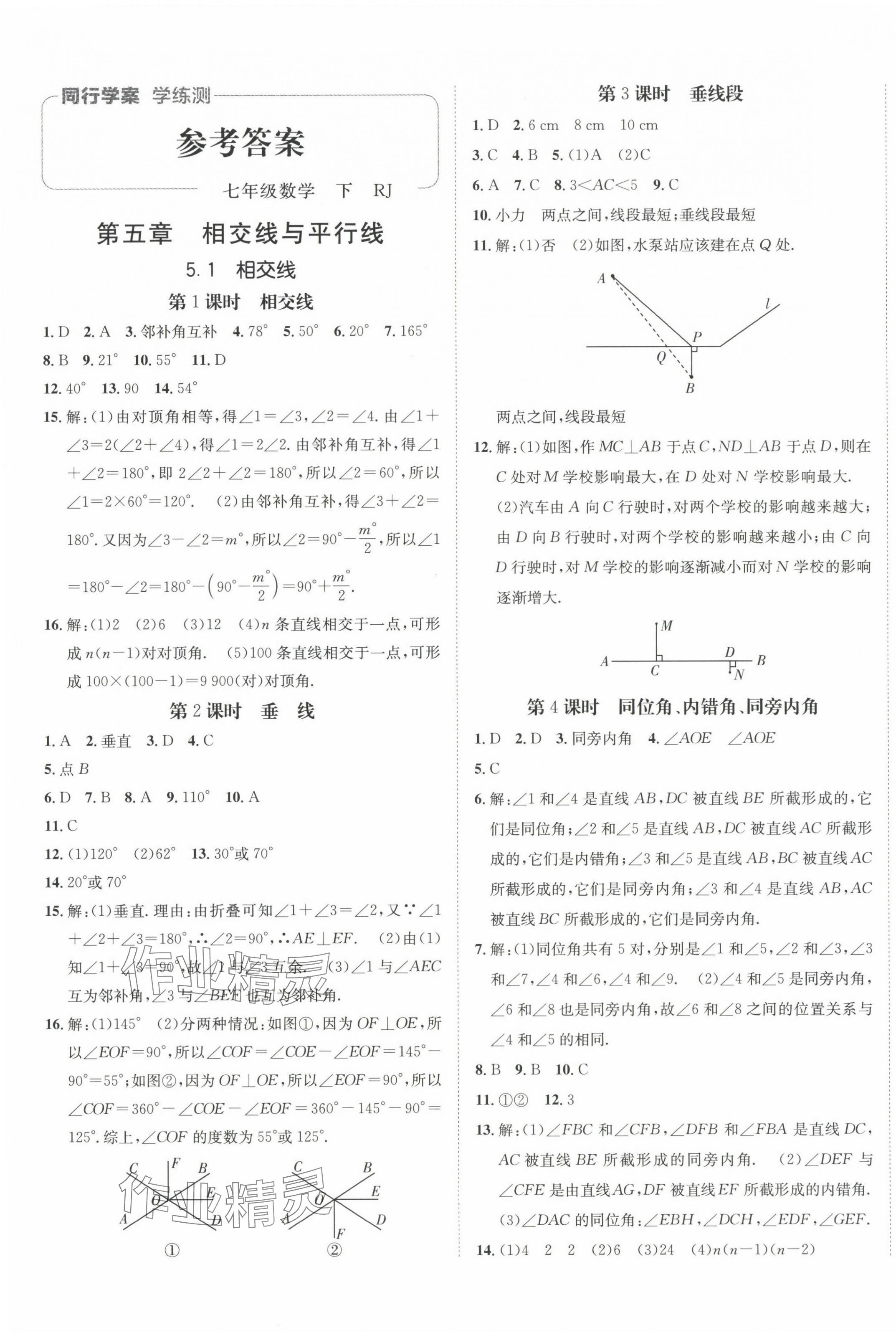 2024年同行学案学练测七年级数学下册人教版 第1页