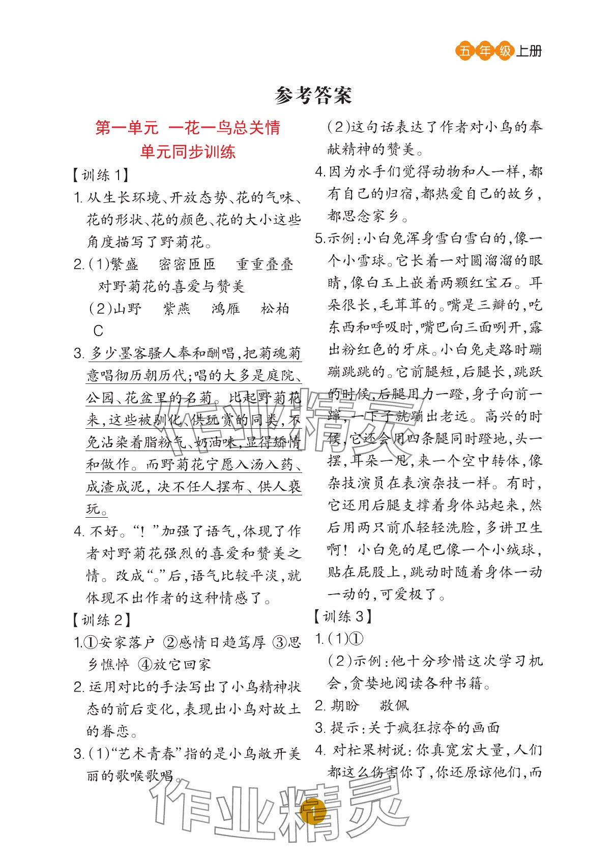 2025年阅读理解专项训练五年级语文上册人教版 参考答案第1页