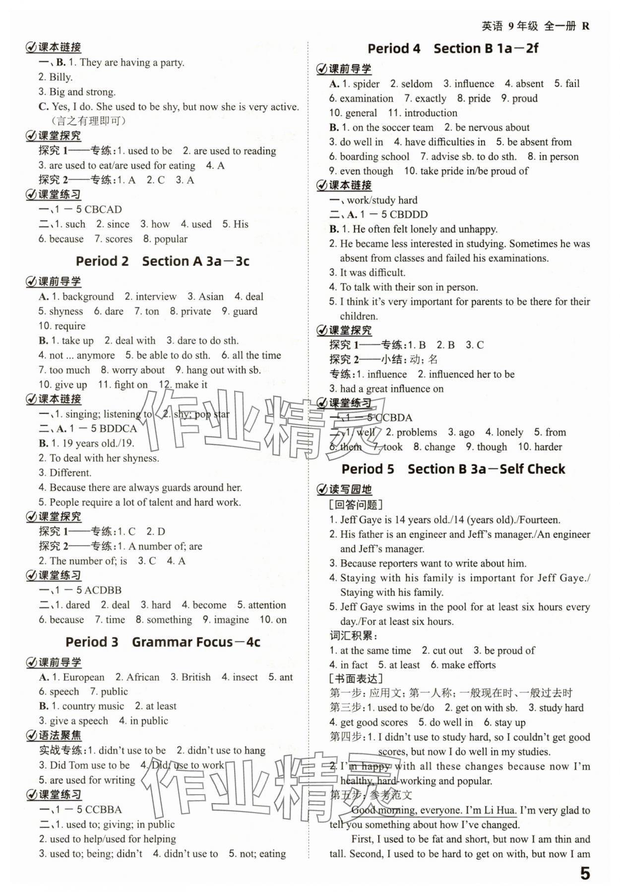 2025年全程突破九年級(jí)英語全一冊(cè)人教版 參考答案第5頁