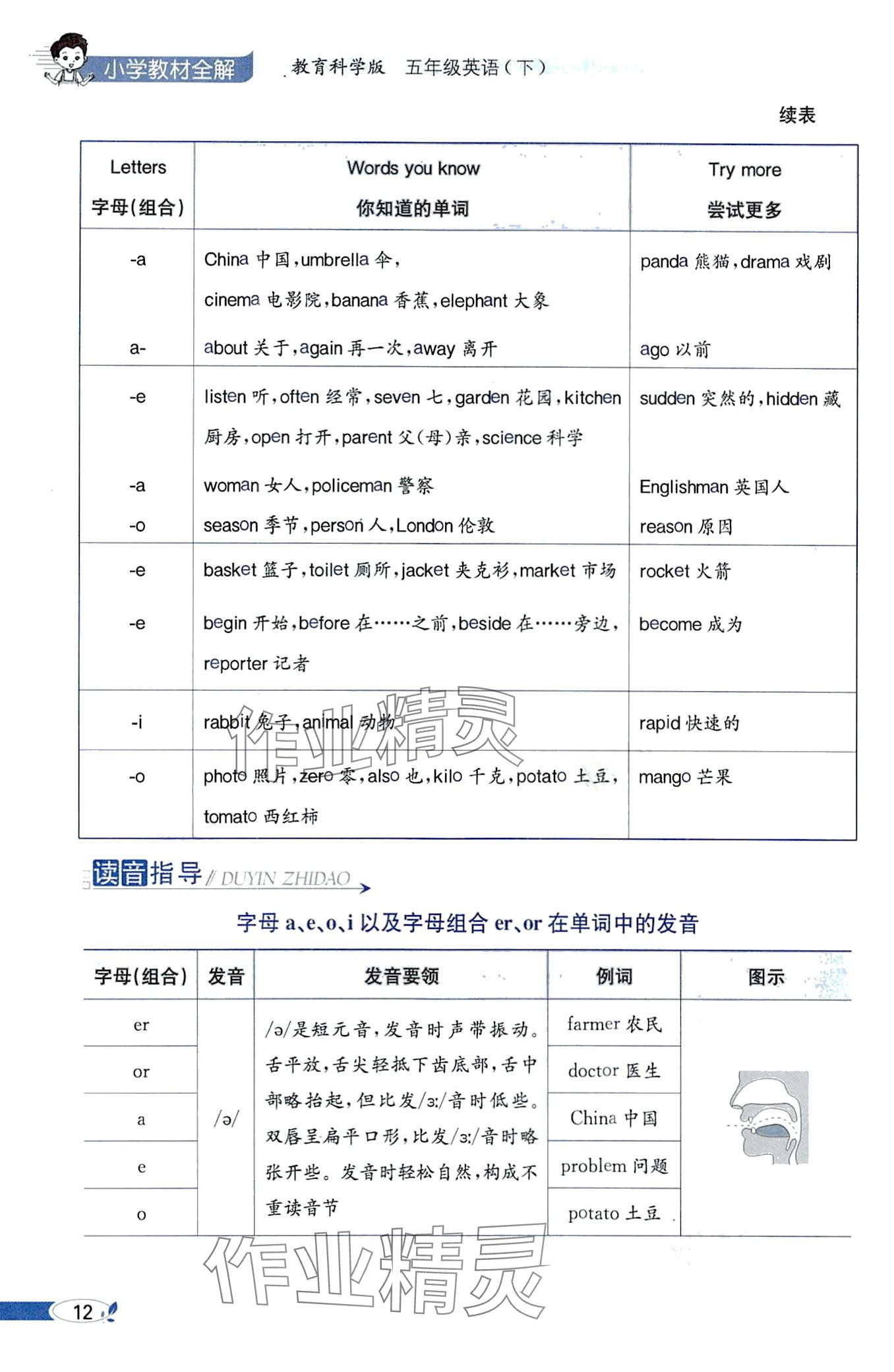 2024年教材課本五年級(jí)英語(yǔ)下冊(cè)教科版 第12頁(yè)