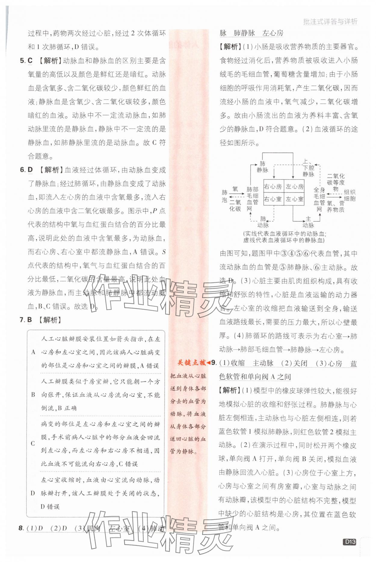 2024年初中必刷题七年级生物下册人教版 第13页