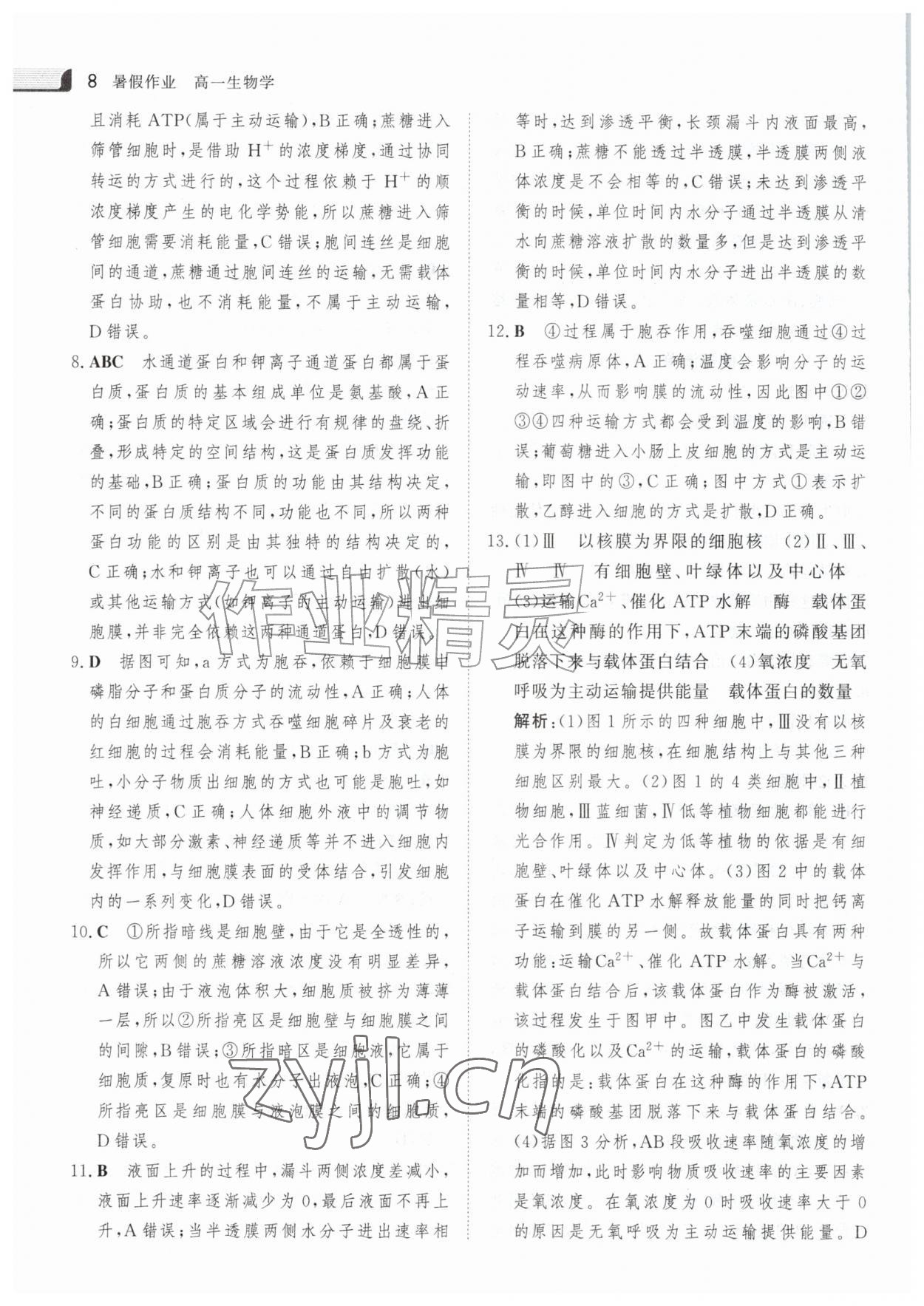 2026年金版新学案暑假作业高一生物&nbsp;参考答案第7页