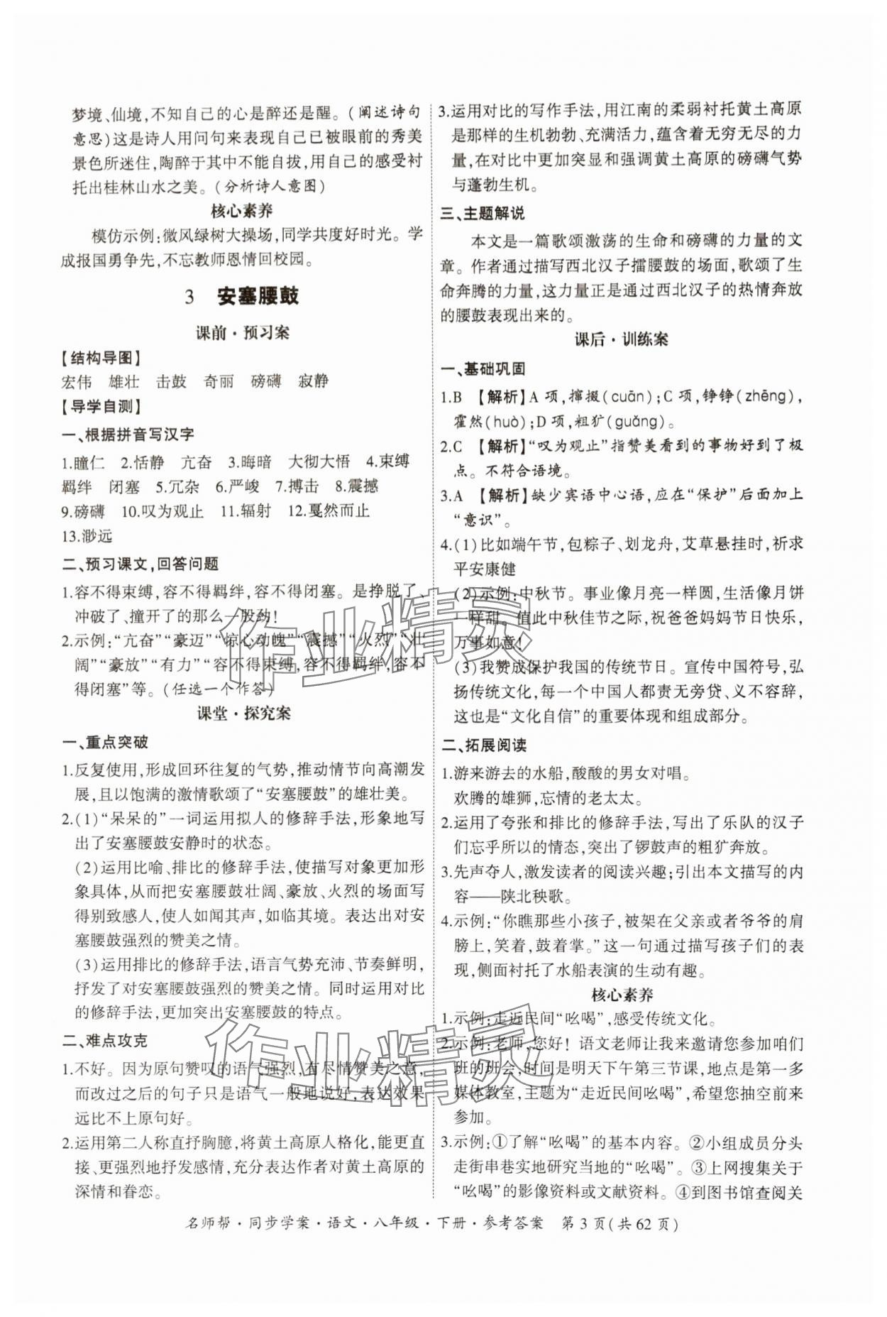 2025年名師幫同步學(xué)案八年級語文下冊人教版 第3頁