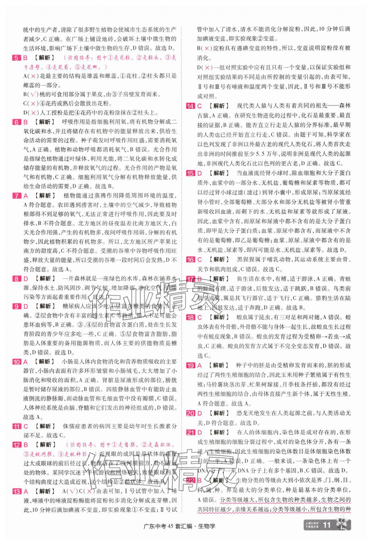 2025年金考卷45套匯編生物廣東專版 第11頁