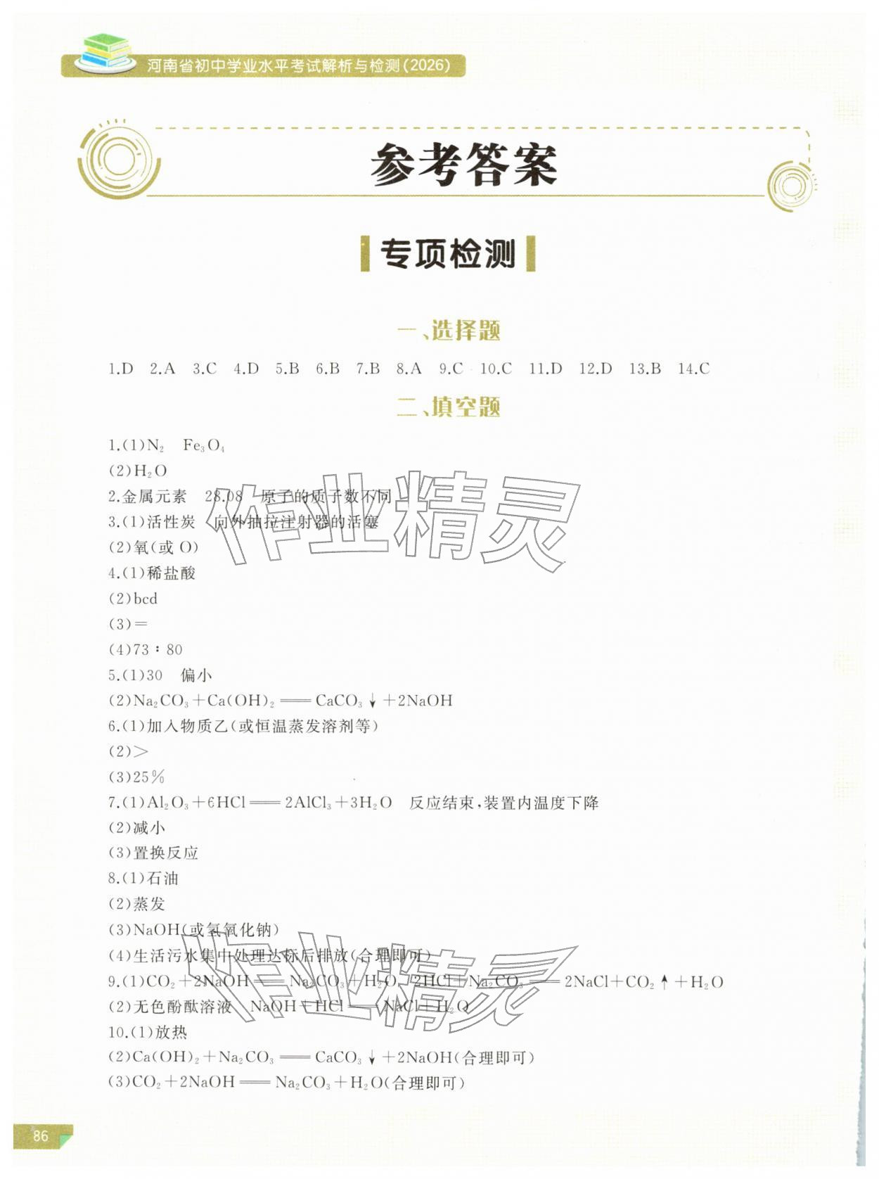 2026年河南省初中学业水平考试解析与检测化学下册&nbsp;参考答案第1页