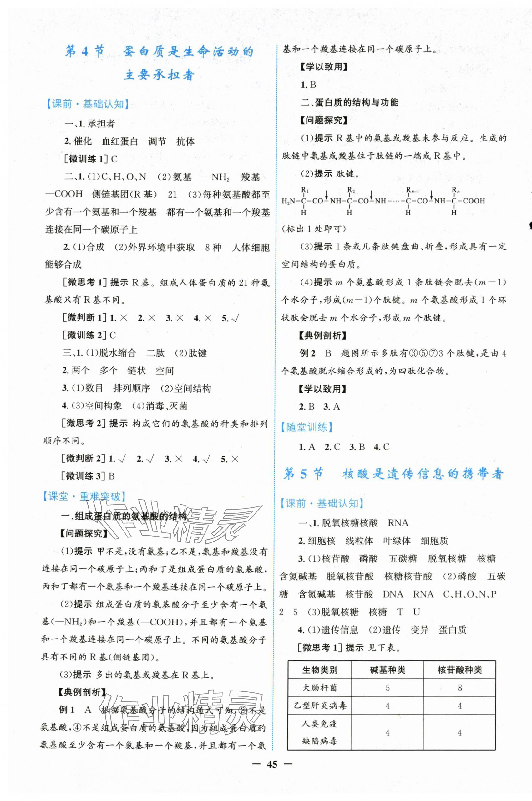 2025年南方新課堂金牌學案高中生物必修1人教版 第5頁