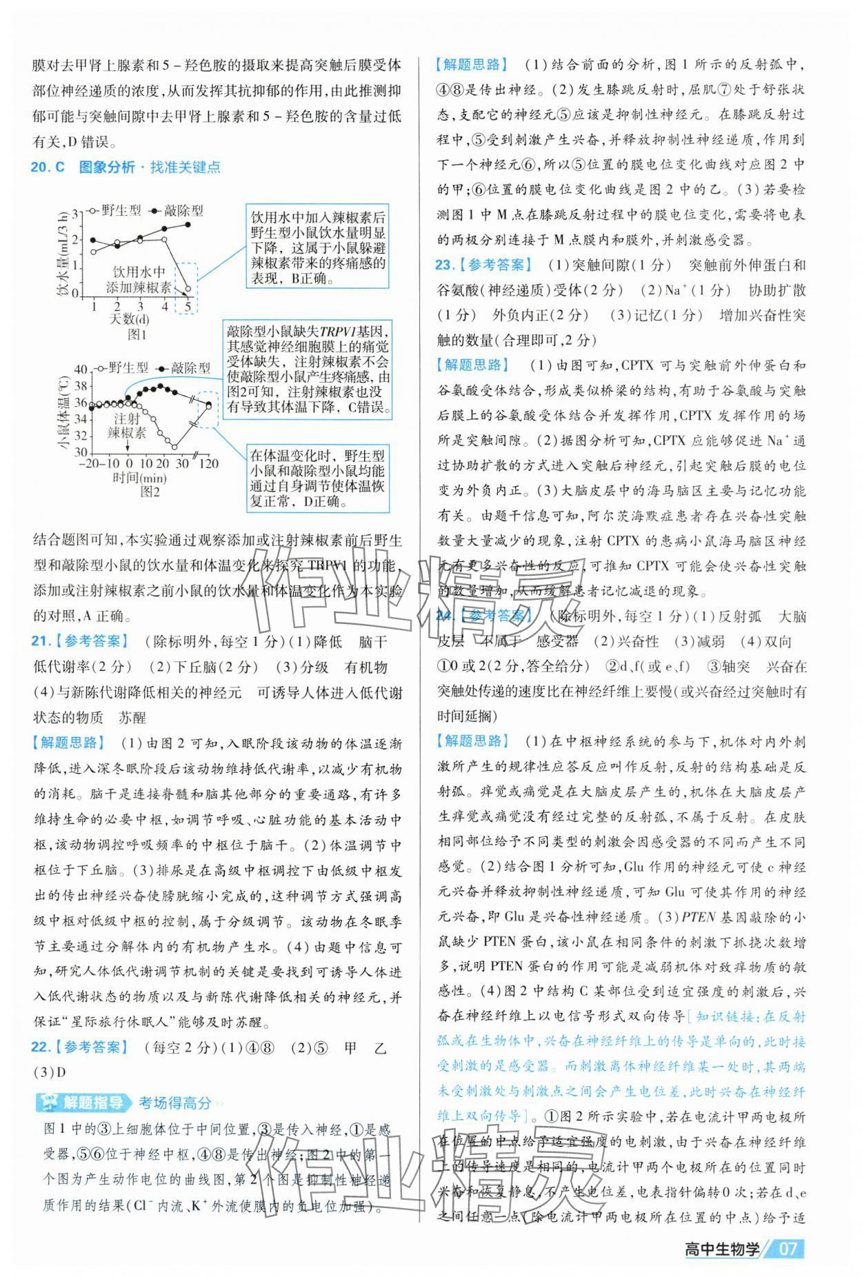 2025年金考卷活頁題選高中生物選擇性必修1人教版 第7頁