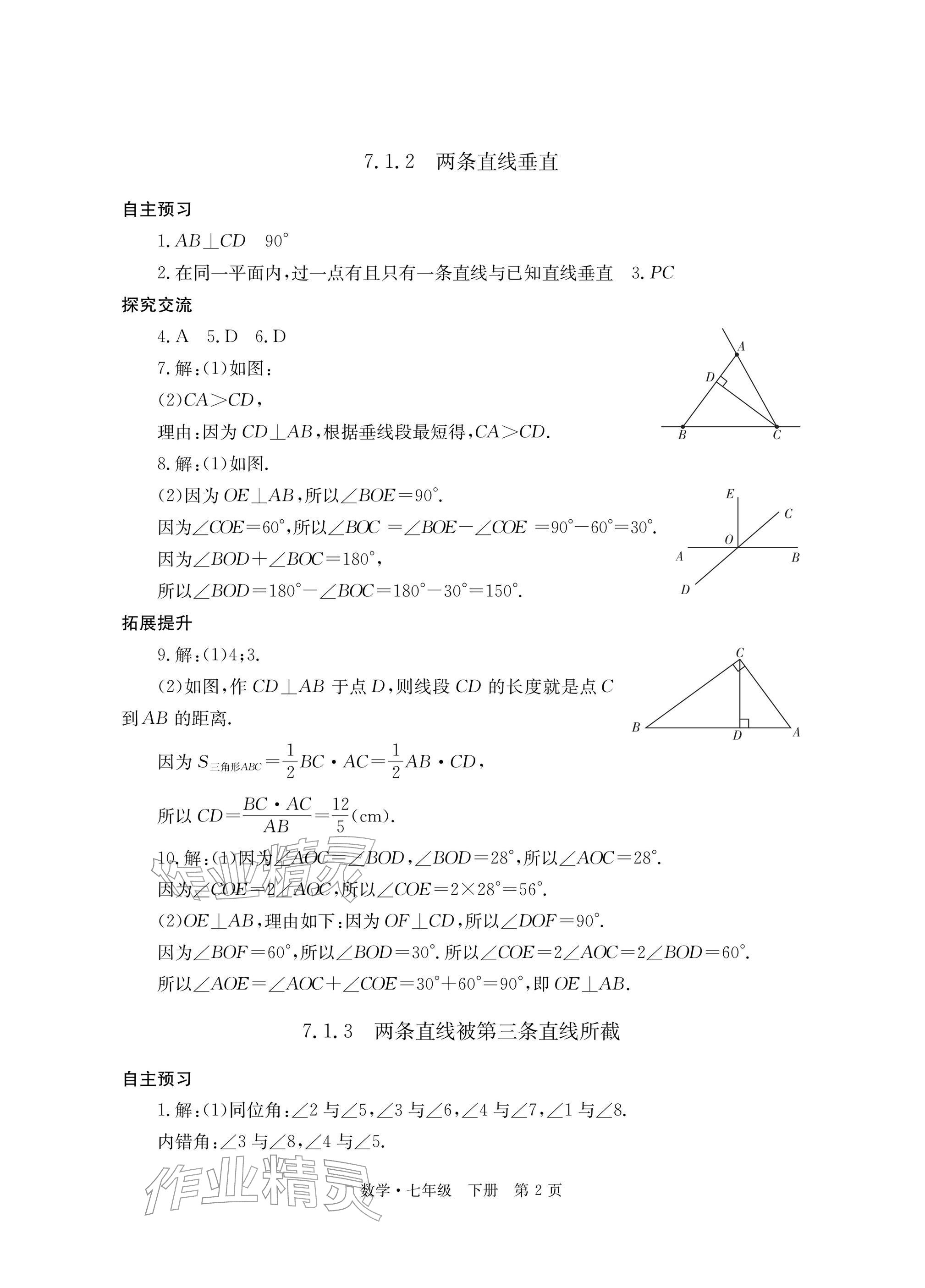 2026年自主学习指导课程与测试七年级数学下册人教版&nbsp;参考答案第2页