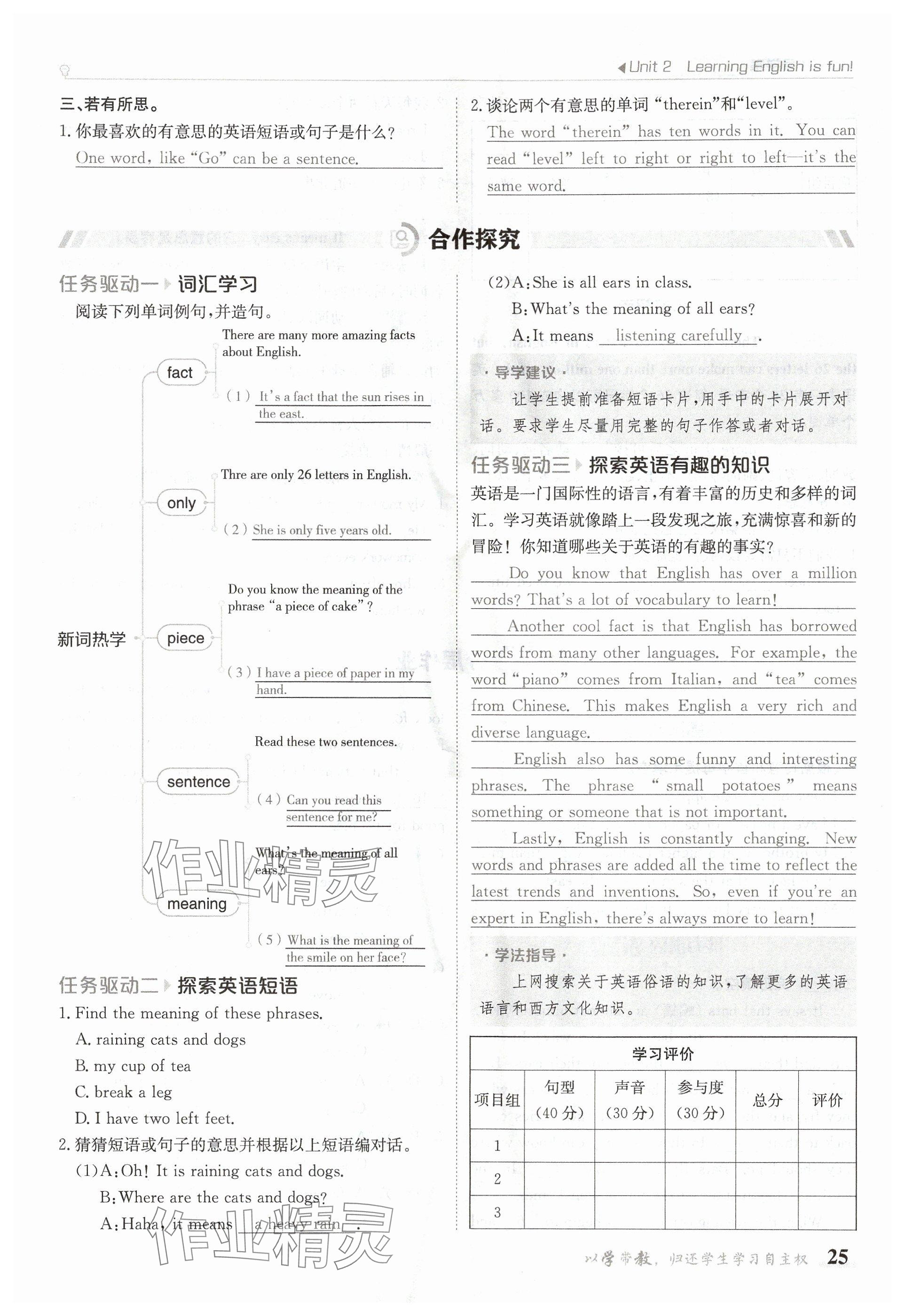 2024年金太阳导学案七年级英语上册冀教版 参考答案第25页