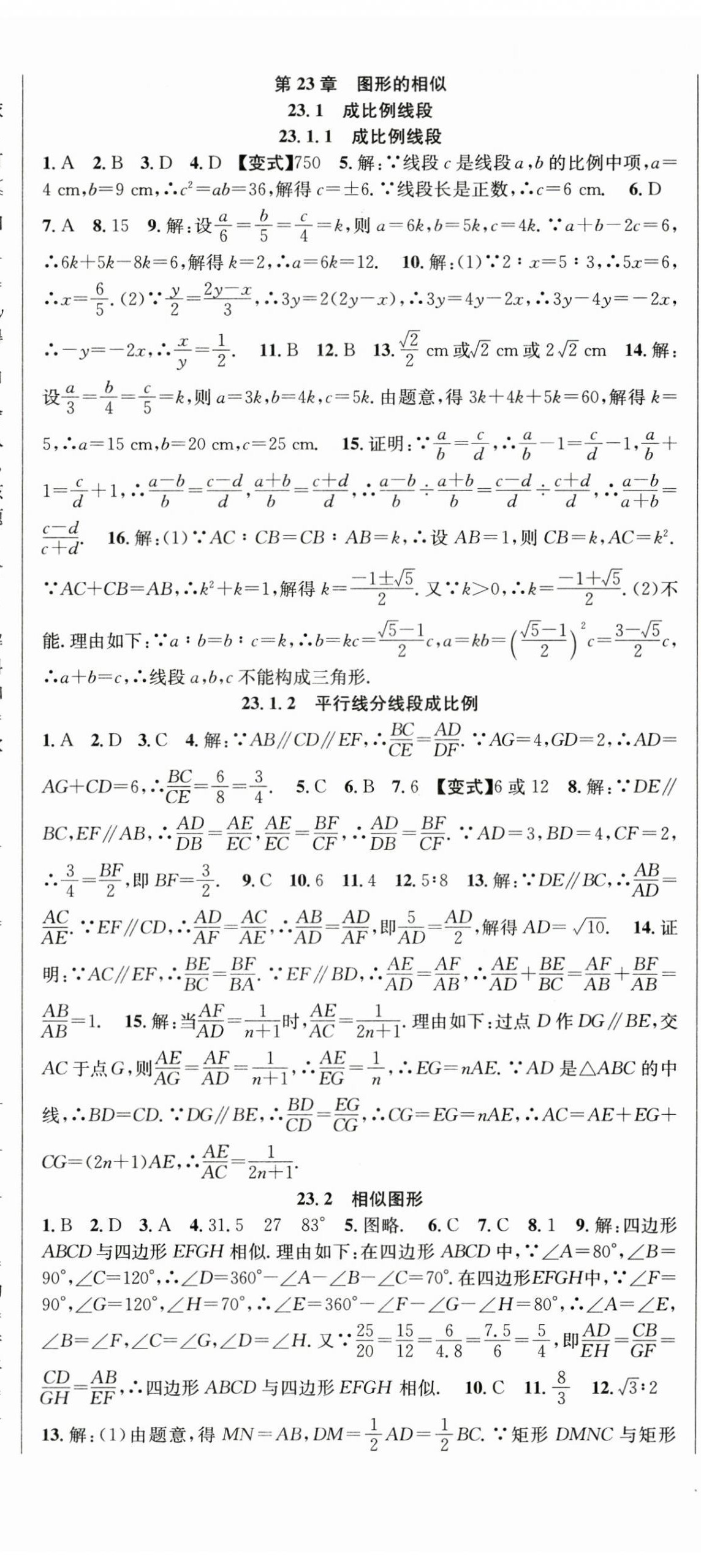 2025年课时夺冠九年级数学上册华师大版 第8页
