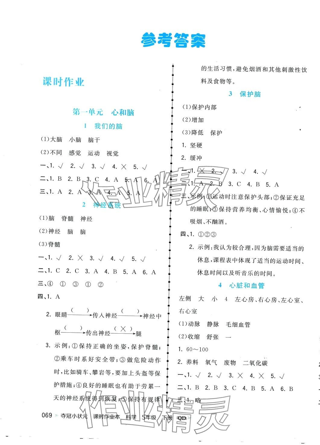 2024年夺冠小状元课时作业本五年级科学下册青岛版 第1页