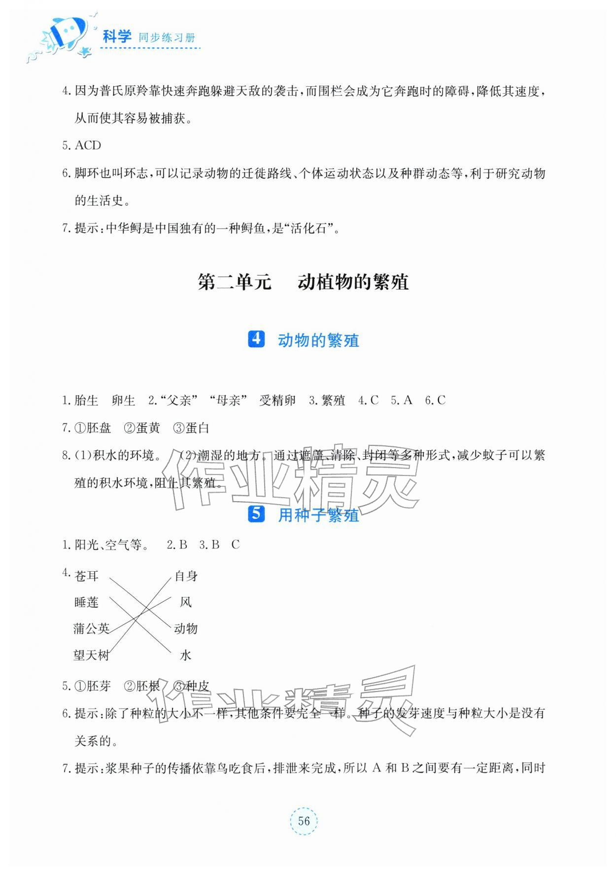 2025年科学同步练习册湖北教育出版社四年级上册人教鄂教版 第2页