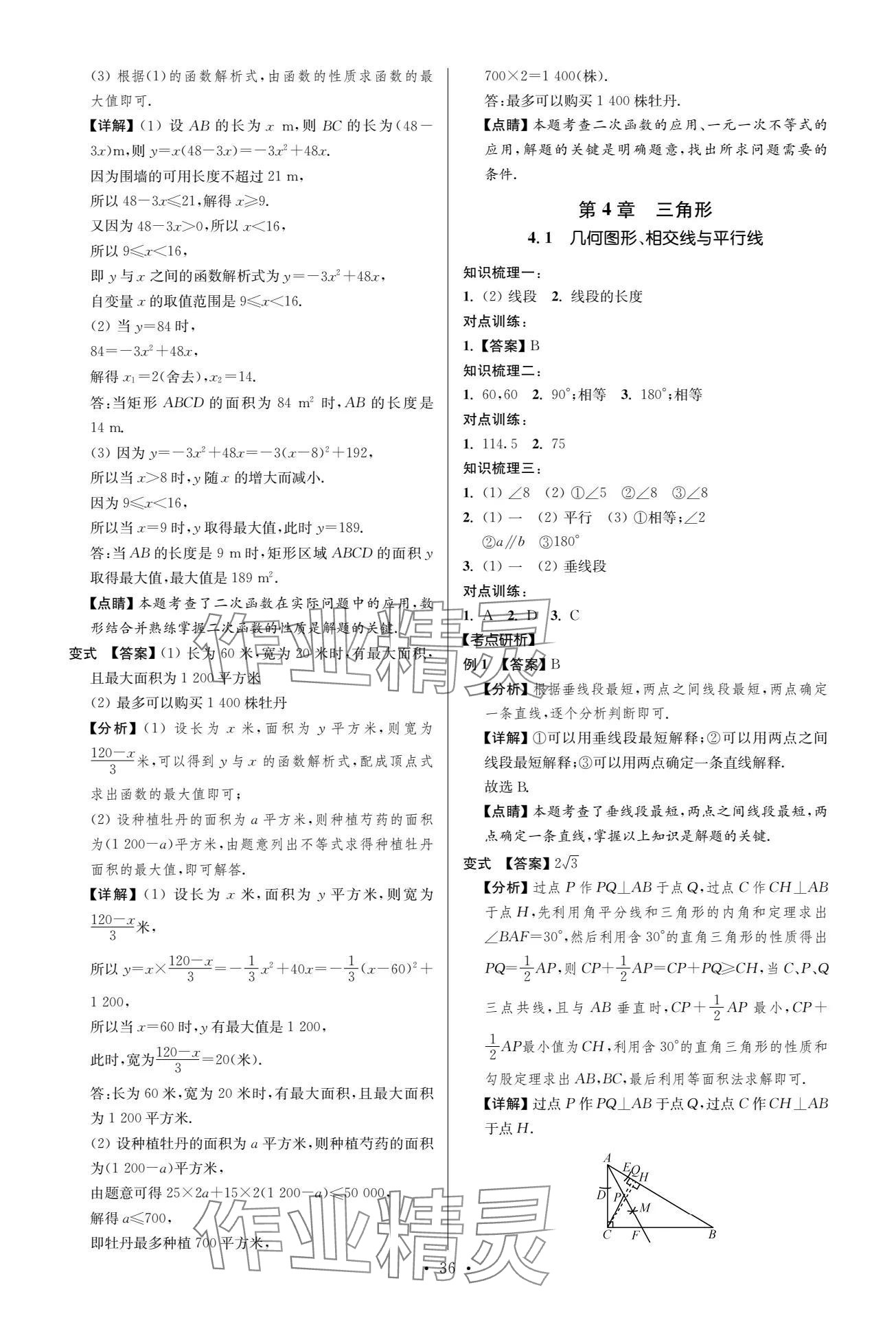 2024年中考復(fù)習(xí)奪冠寶典數(shù)學(xué)江蘇專版 參考答案第36頁