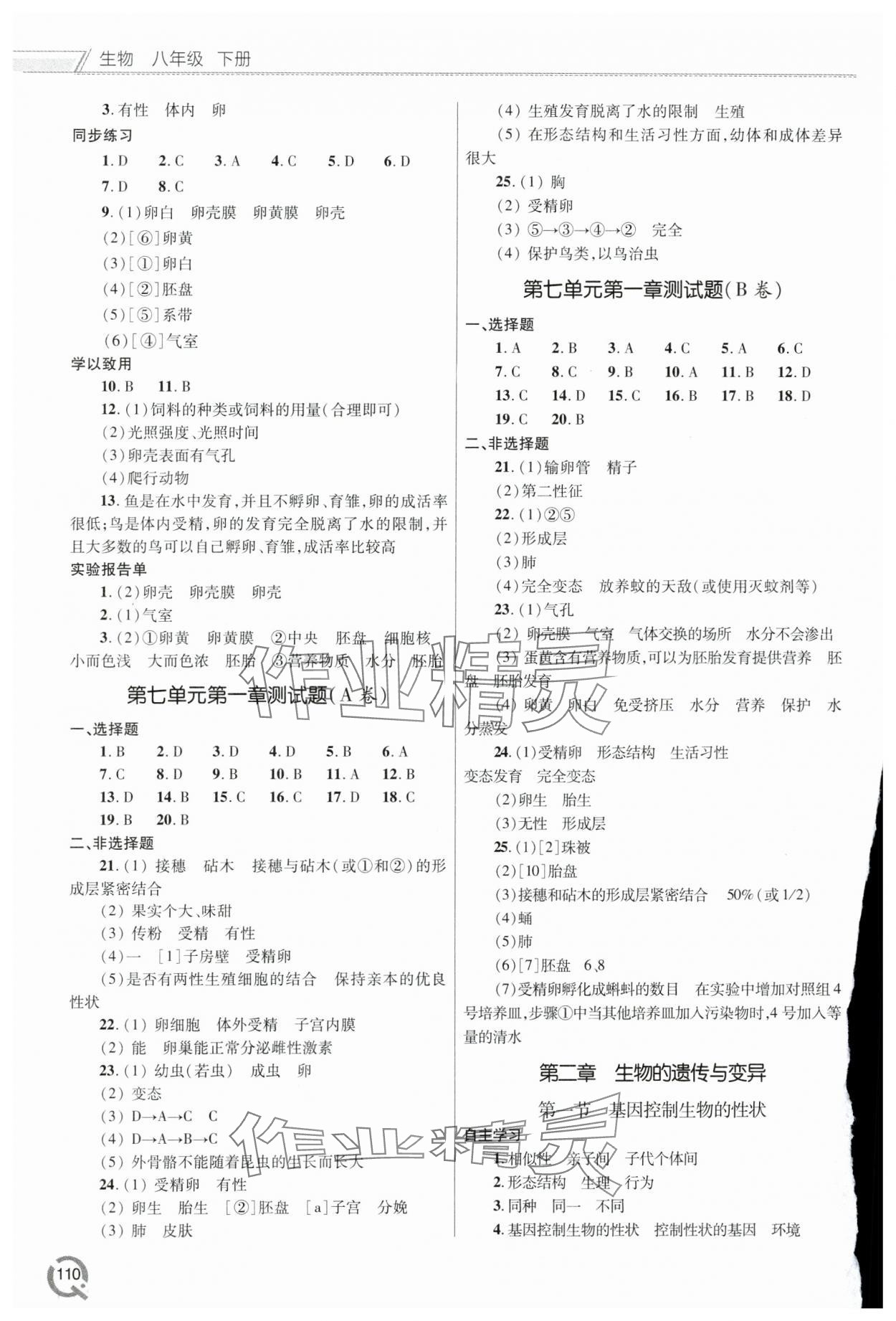 2024年同步練習(xí)冊青島出版社八年級生物下冊人教版 第2頁