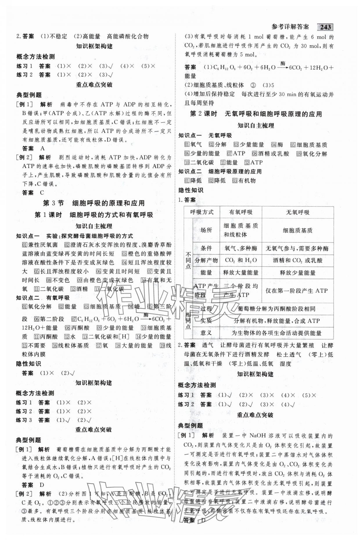 2024年金版教程高中新課程創(chuàng)新導(dǎo)學(xué)案高中生物必修1人教版 參考答案第11頁