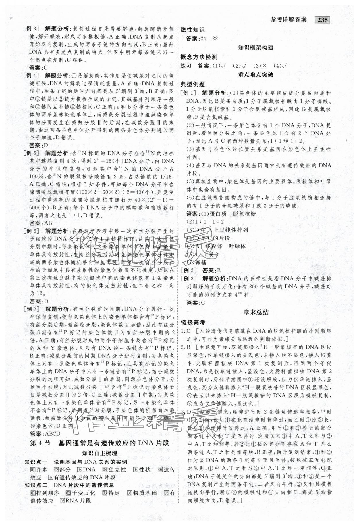 2025年金版教程高中新課程創新導學案生物必修2人教版 參考答案第13頁