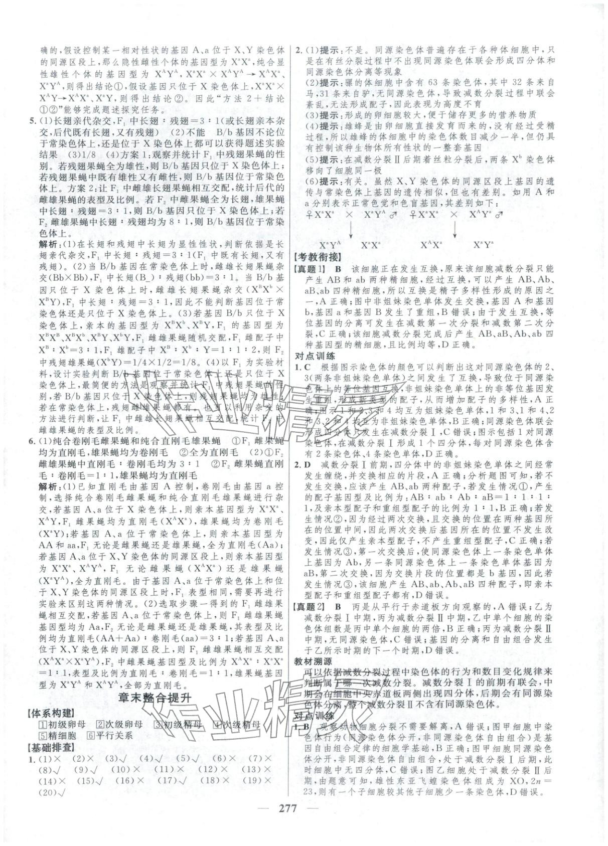 2025年三维设计高中生物必修第二册通&nbsp;第13页