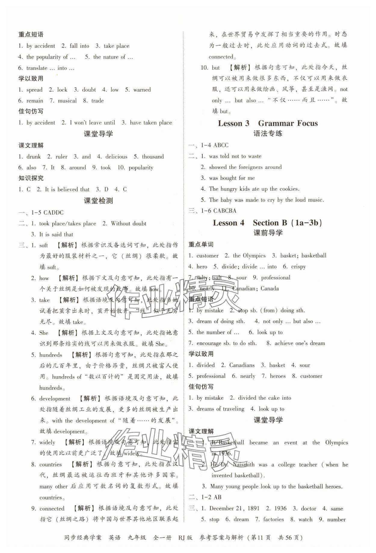 2025年同步經(jīng)典學(xué)案九年級英語全一冊人教版 第11頁