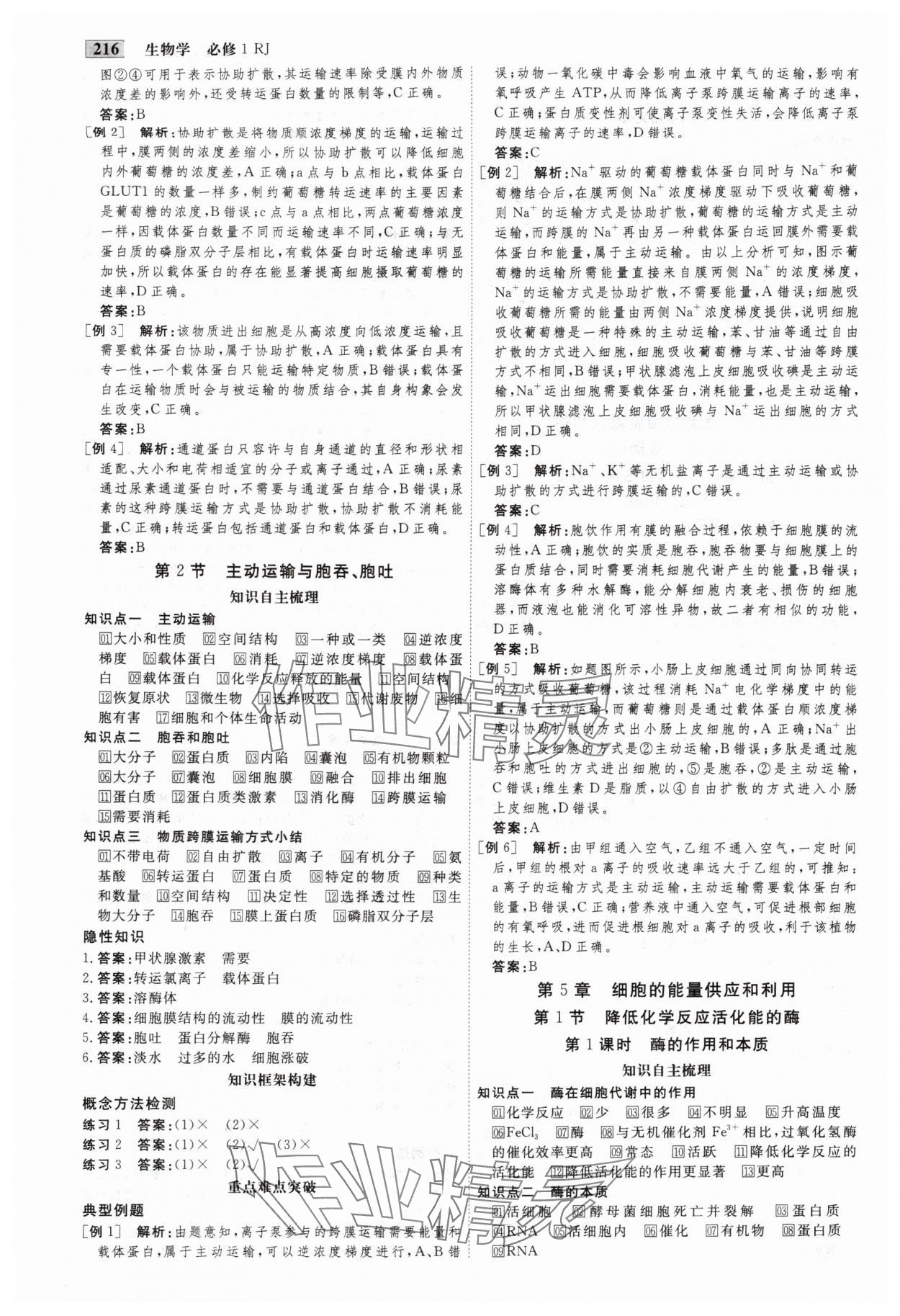 2025年金版教程高中新课程创新导学案高中生物必修1人教版 第7页