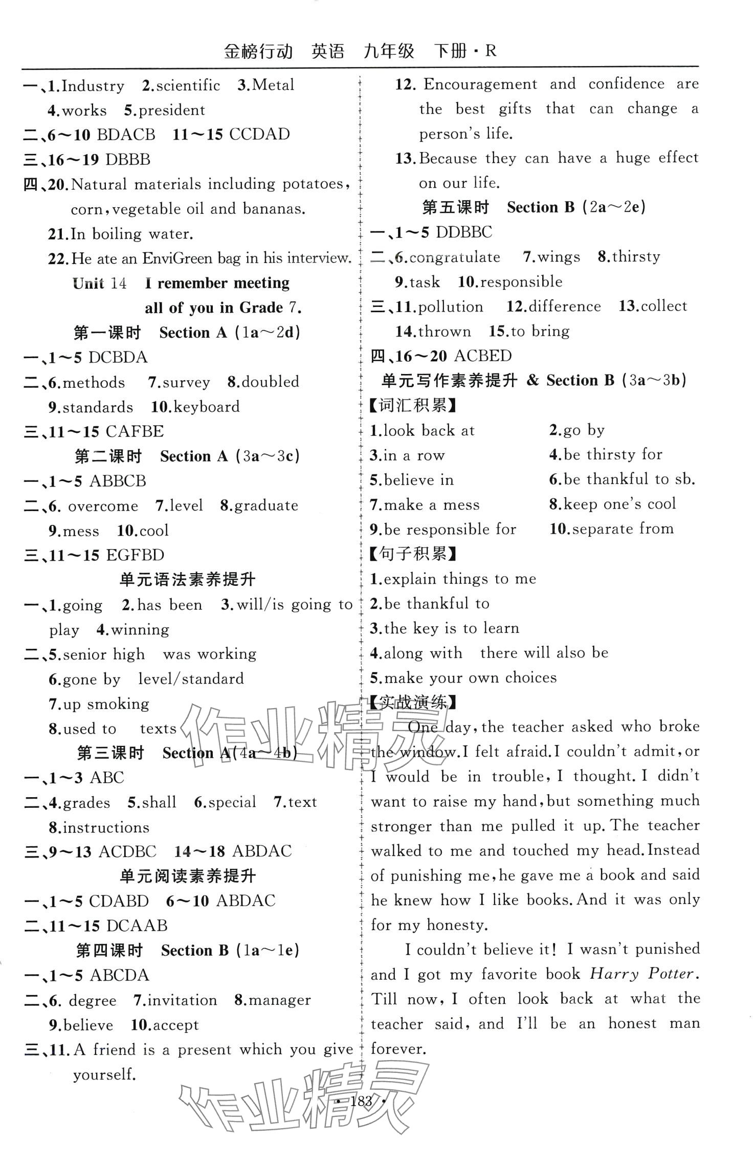 2024年金榜行动九年级英语下册人教版 第4页