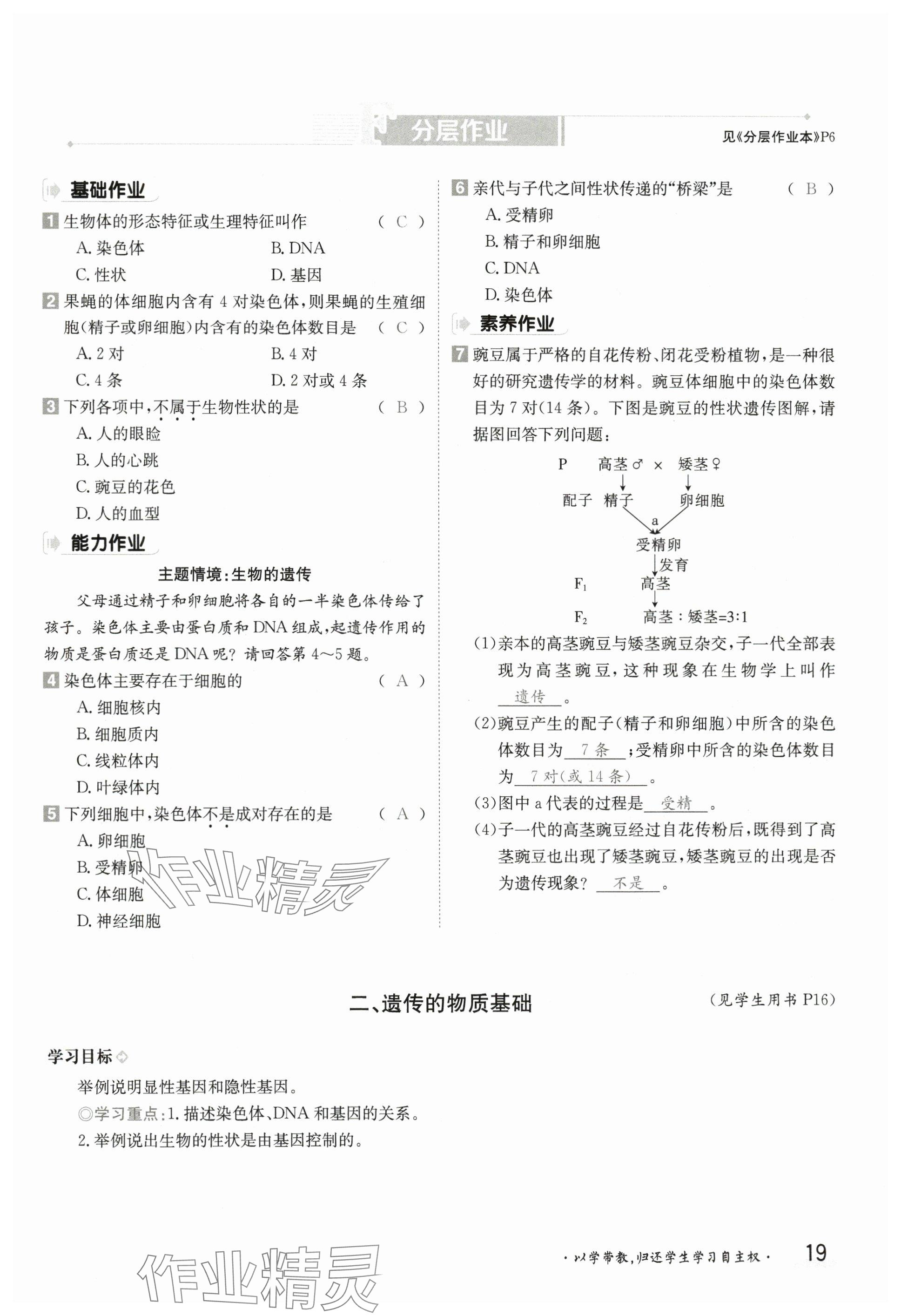 2025年金太陽導學案八年級生物下冊冀少版 參考答案第19頁