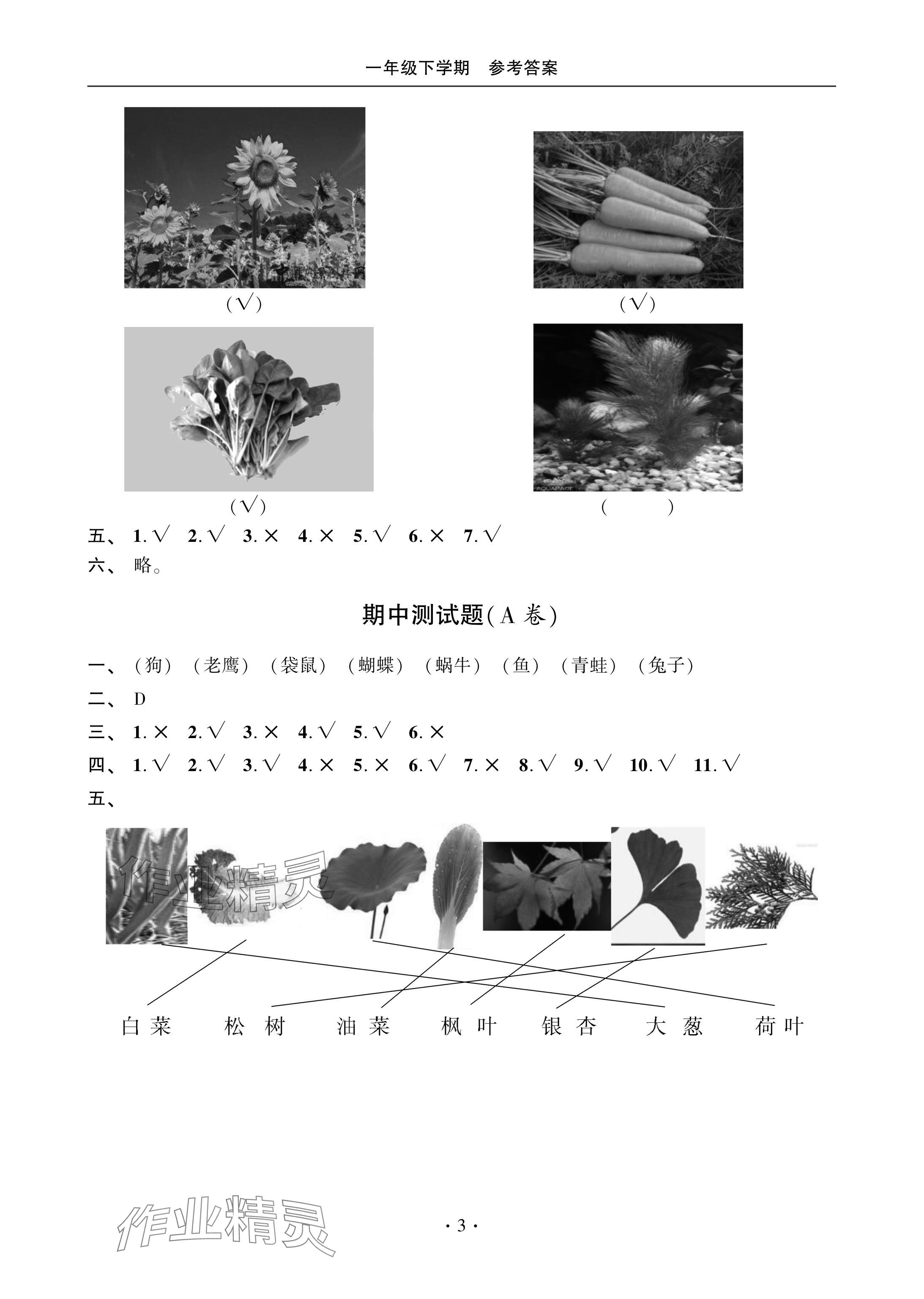 2024年單元自測(cè)試卷青島出版社一年級(jí)科學(xué)下冊(cè)青島版 參考答案第3頁(yè)