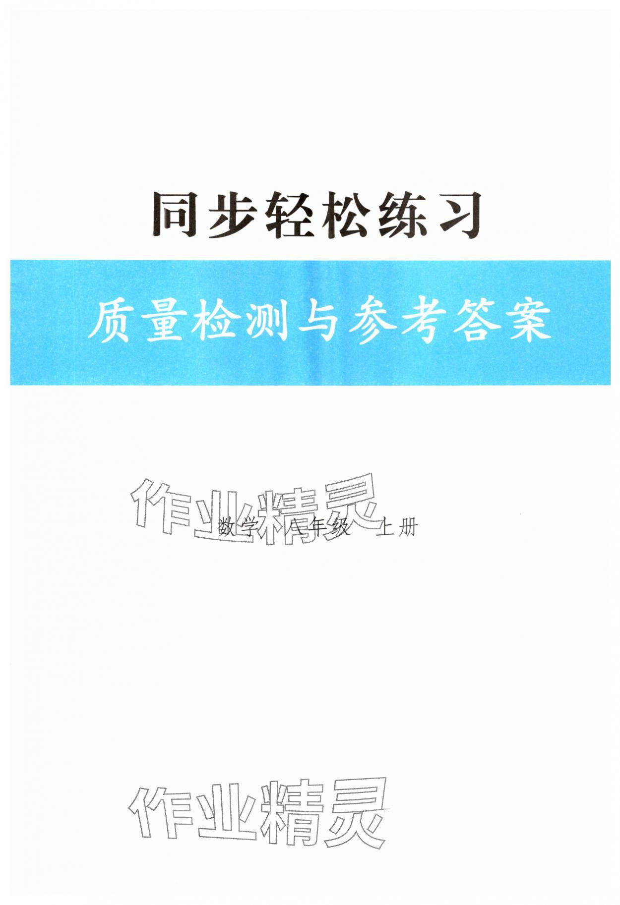2025年同步轻松练习八年级数学上册人教版 第1页
