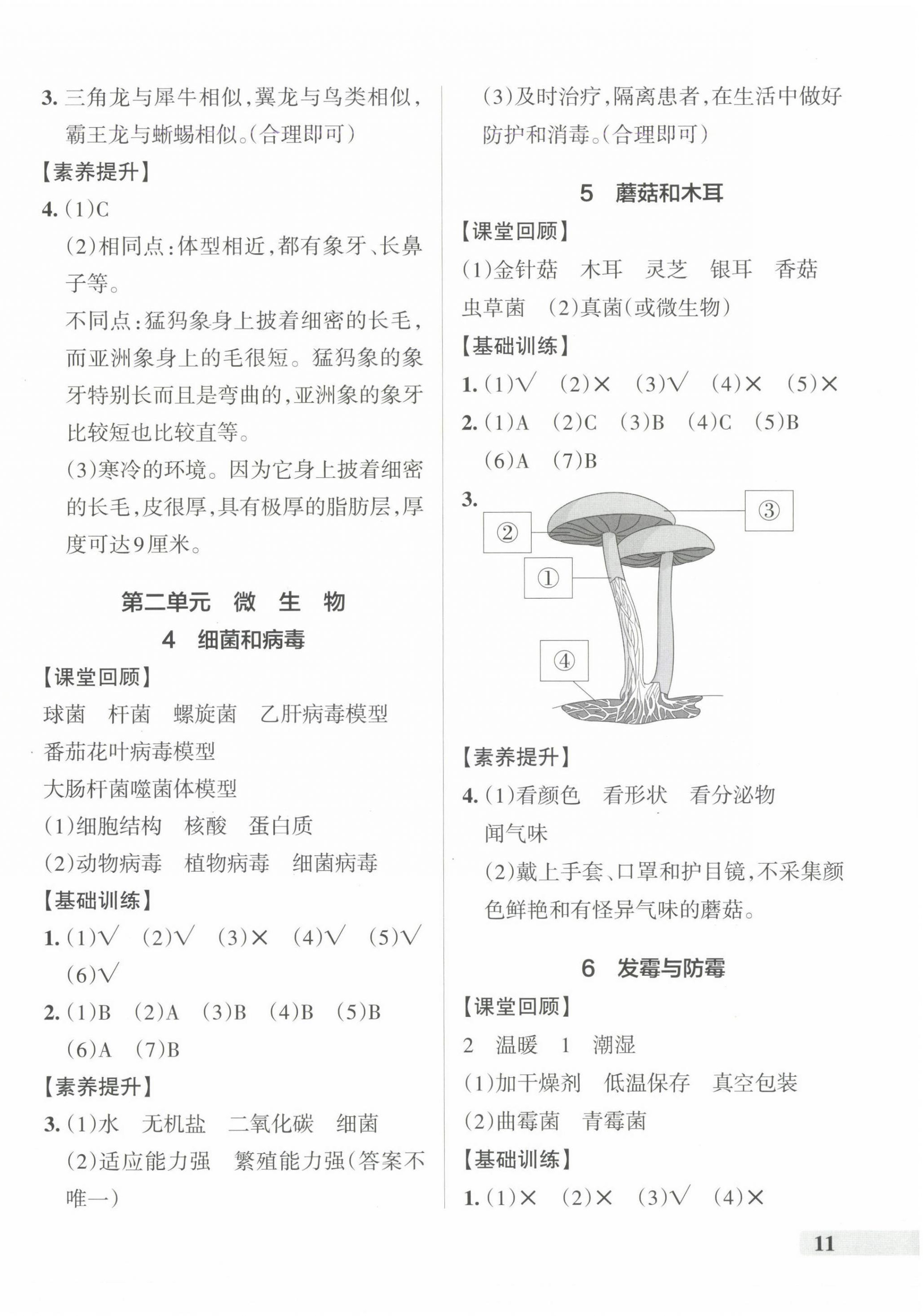 2024年小學(xué)學(xué)霸作業(yè)本六年級科學(xué)上冊青島版 參考答案第2頁