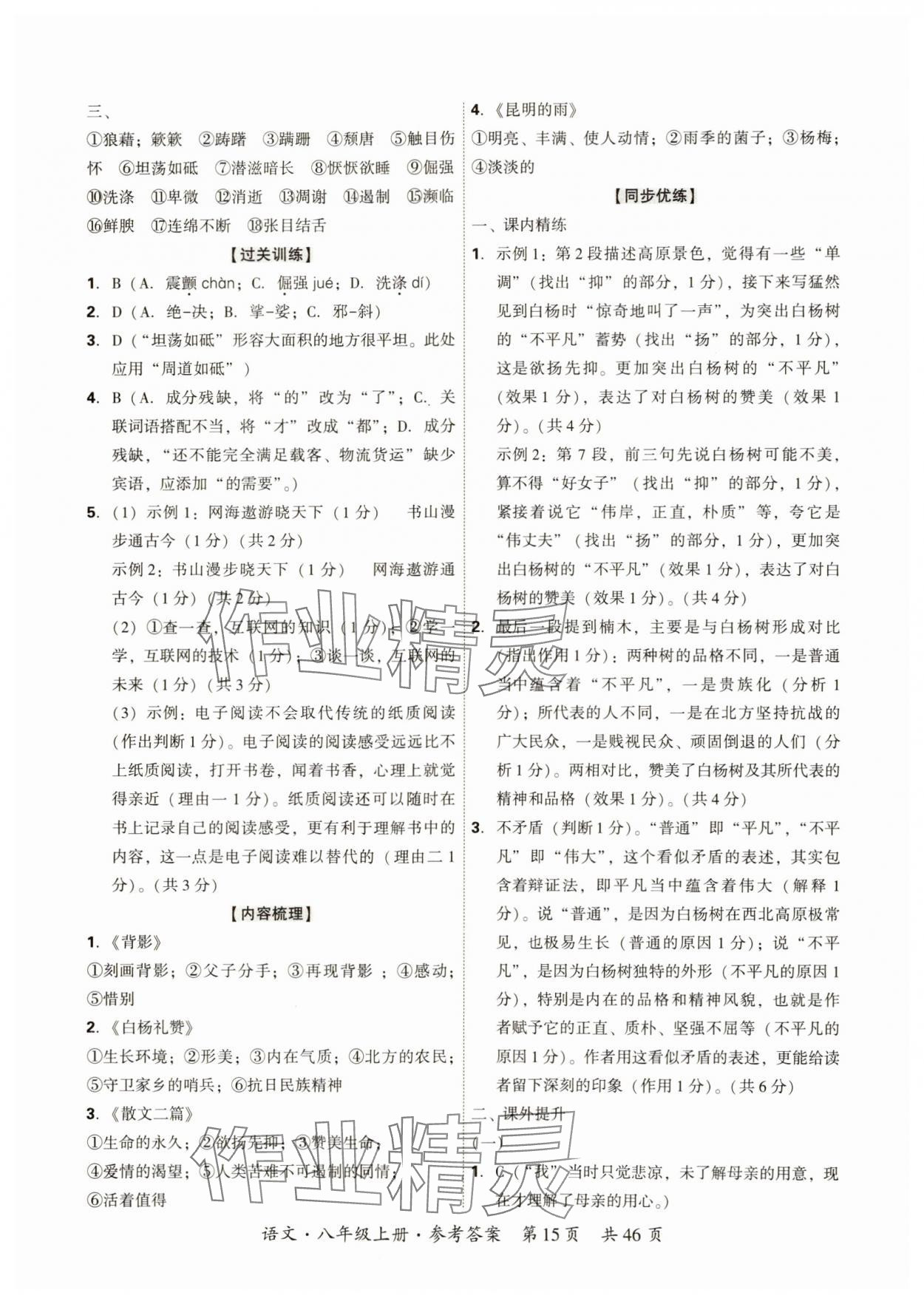 2024年单元优练八年级语文上册人教版广州专版&nbsp;参考答案第15页