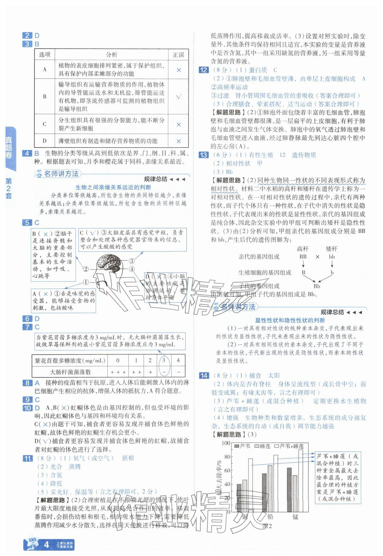 2026年金考卷45套汇编生物湖北专版&nbsp;第4页